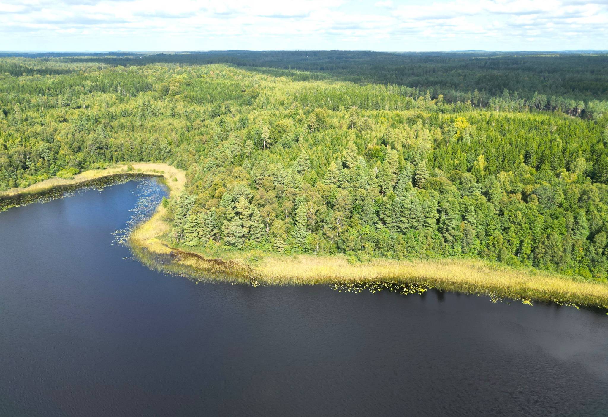 Gård med skogsbruk på Ed Nissatorp 1 Värnamo kommun - bild 5