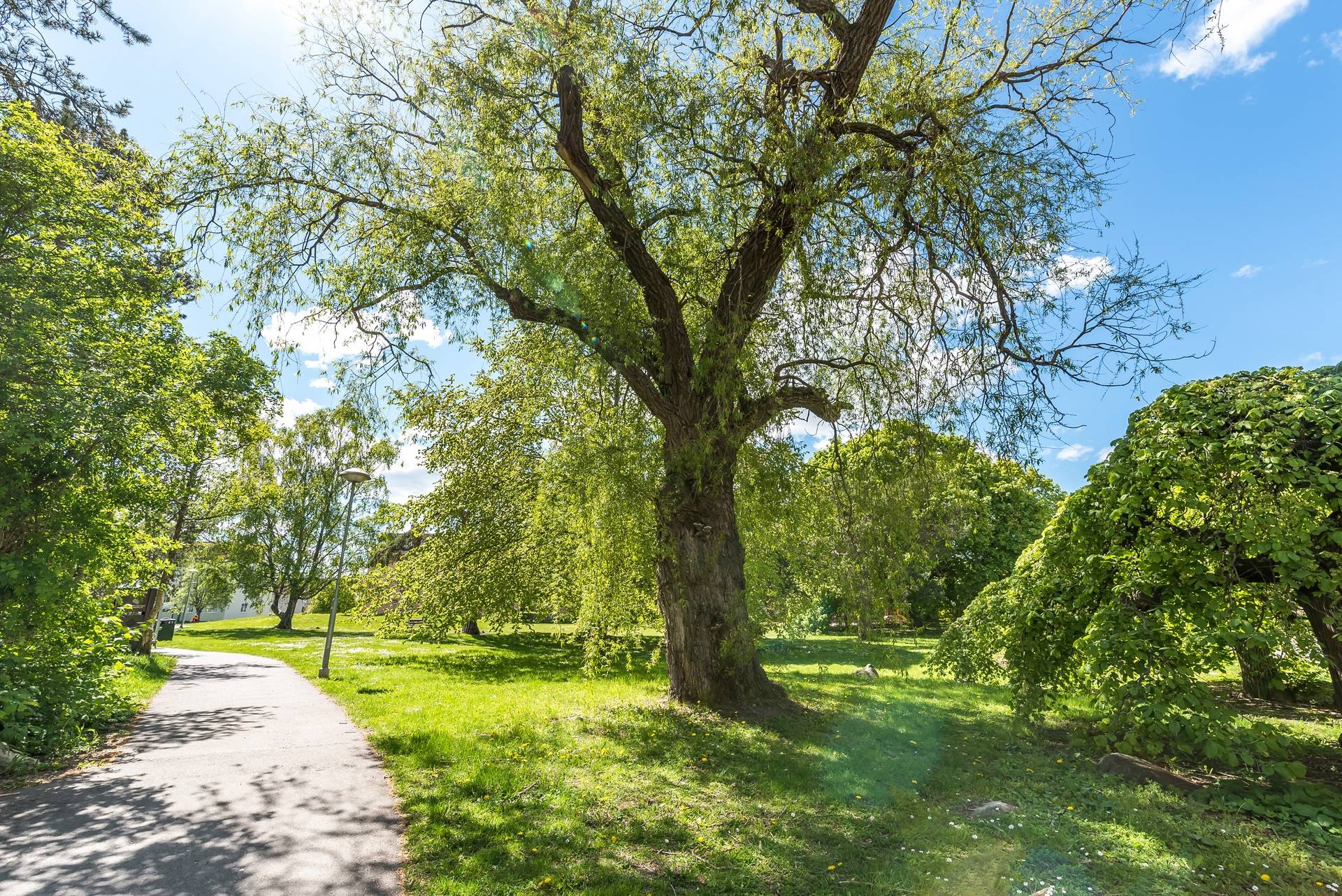 3 rum Lägenhet på Syréngatan 6B Valla Linköpings kommun - bild 29