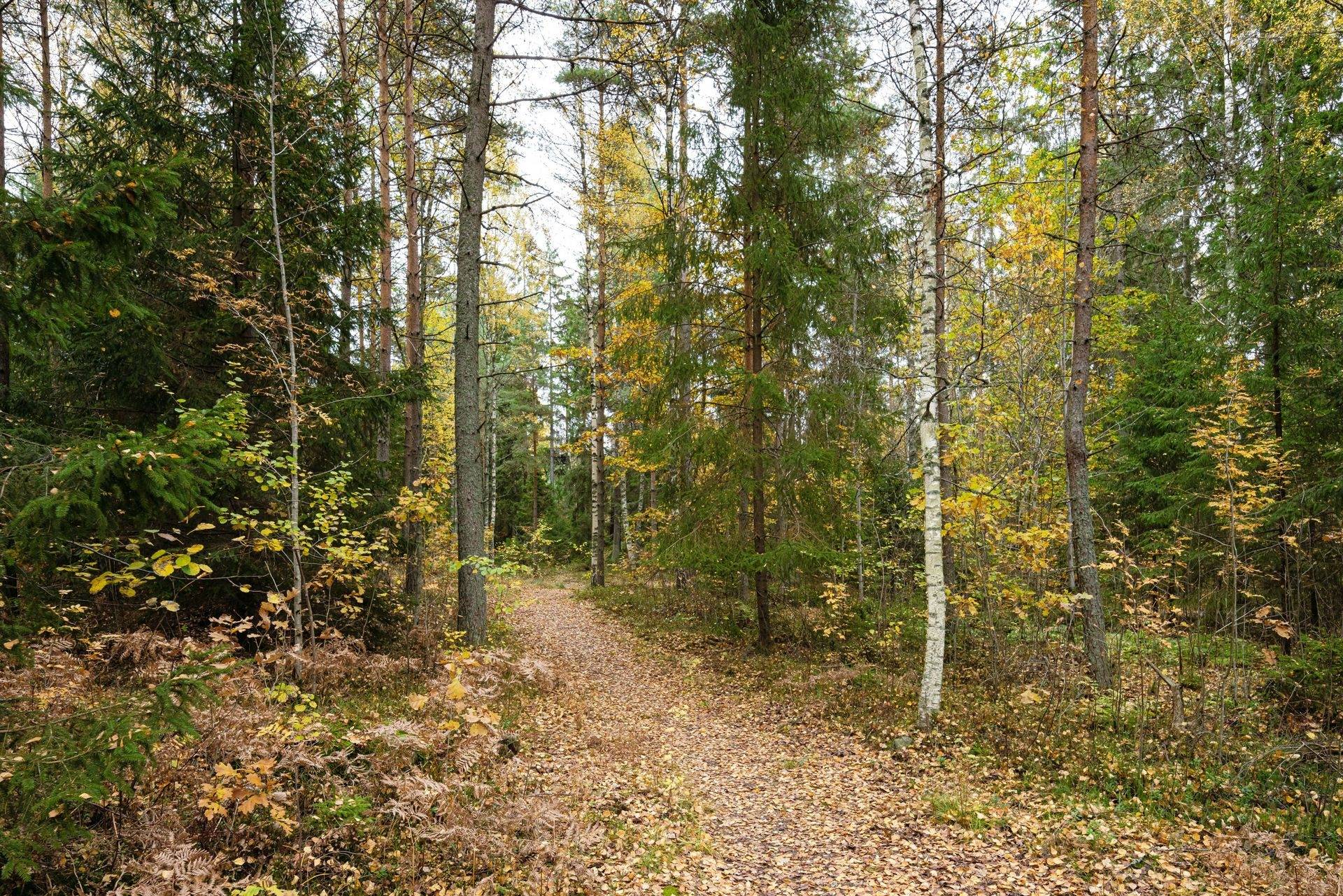 6 rum Villa på Margaretagatan 30 Amerika Värnamo kommun - bild 42