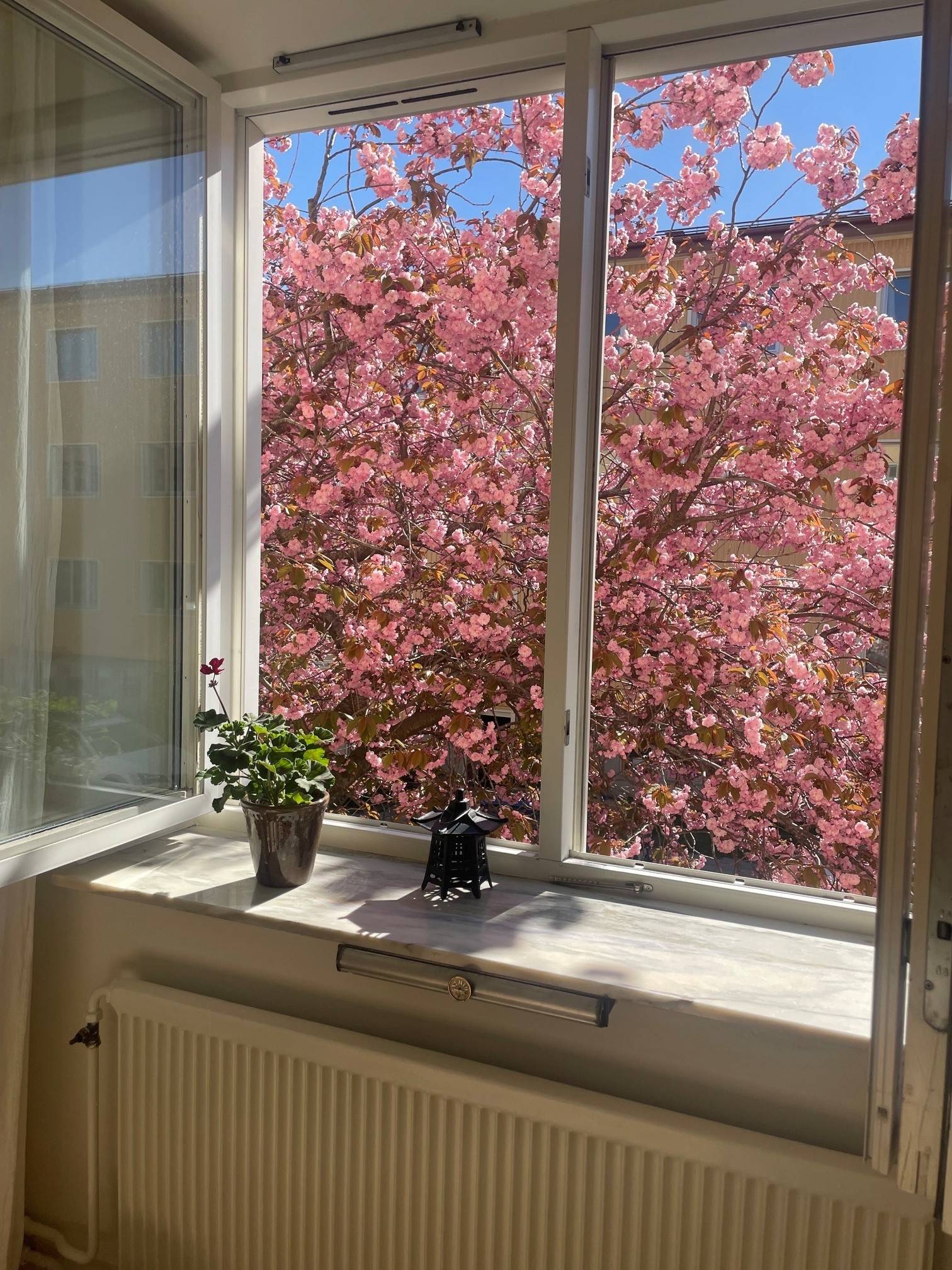 2 rum Lägenhet på Råggatan 12 Södermalm - Skanstull Stockholms kommun - bild 17