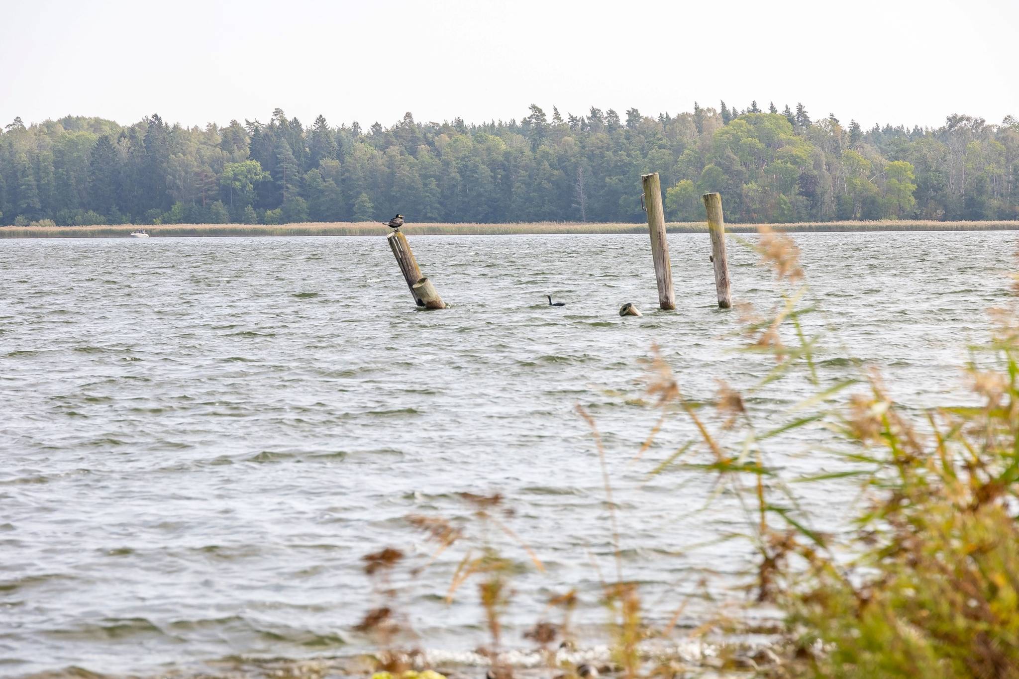 4 rum Lägenhet på Pontongränd 19,3tr Hägernäs Strand Täby kommun - bild 23