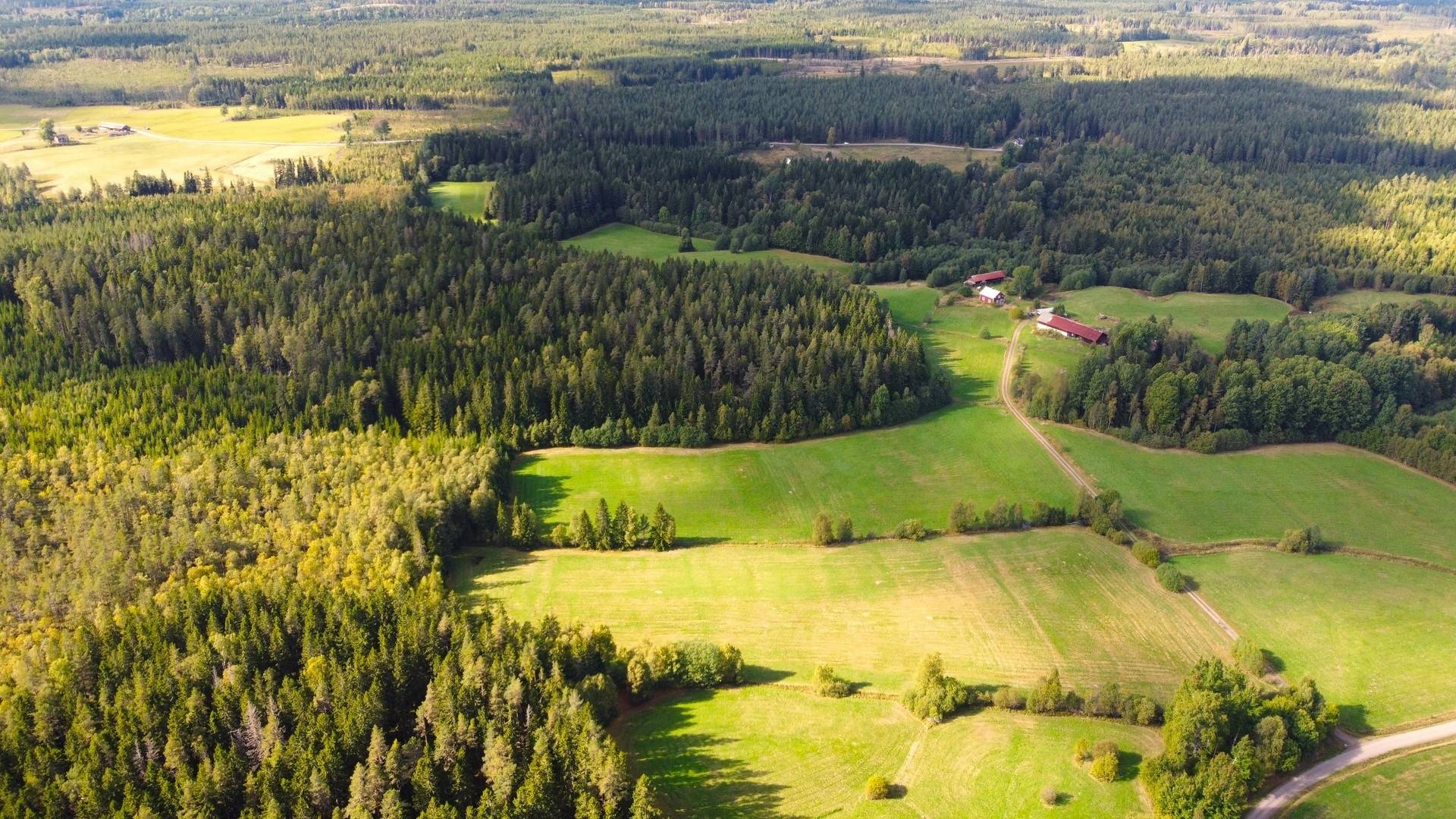Gård med jordbruk på Snårbotten Laggartorp 23 Laggartorp Storfors kommun - bild 24
