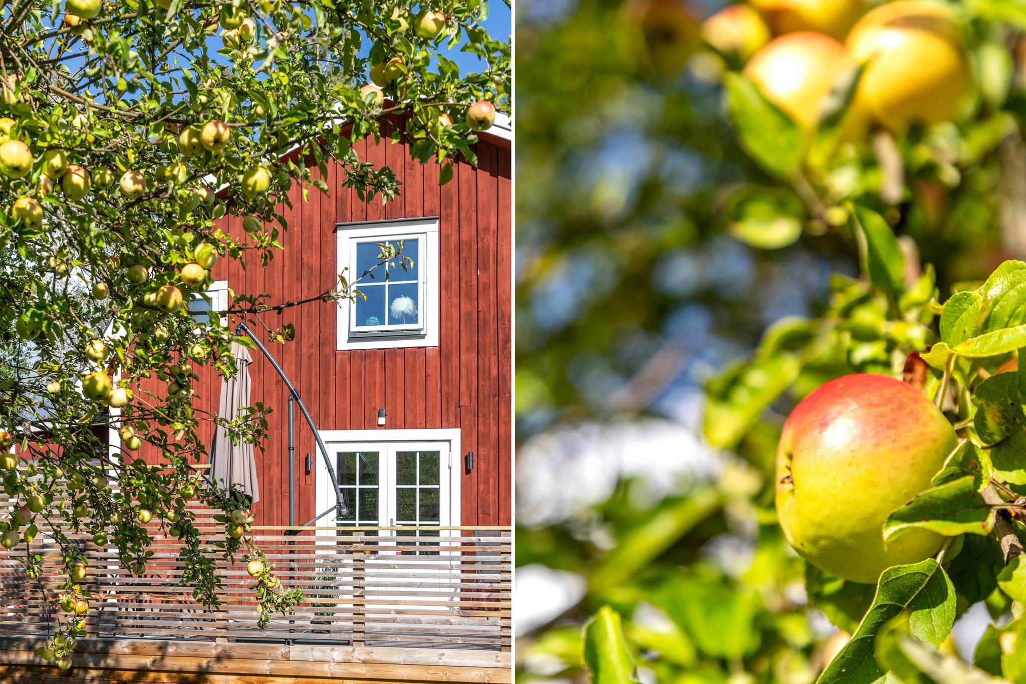 3 rum Villa på Ekenberg Björklund 1 Skärkind Norrköpings kommun - bild 3