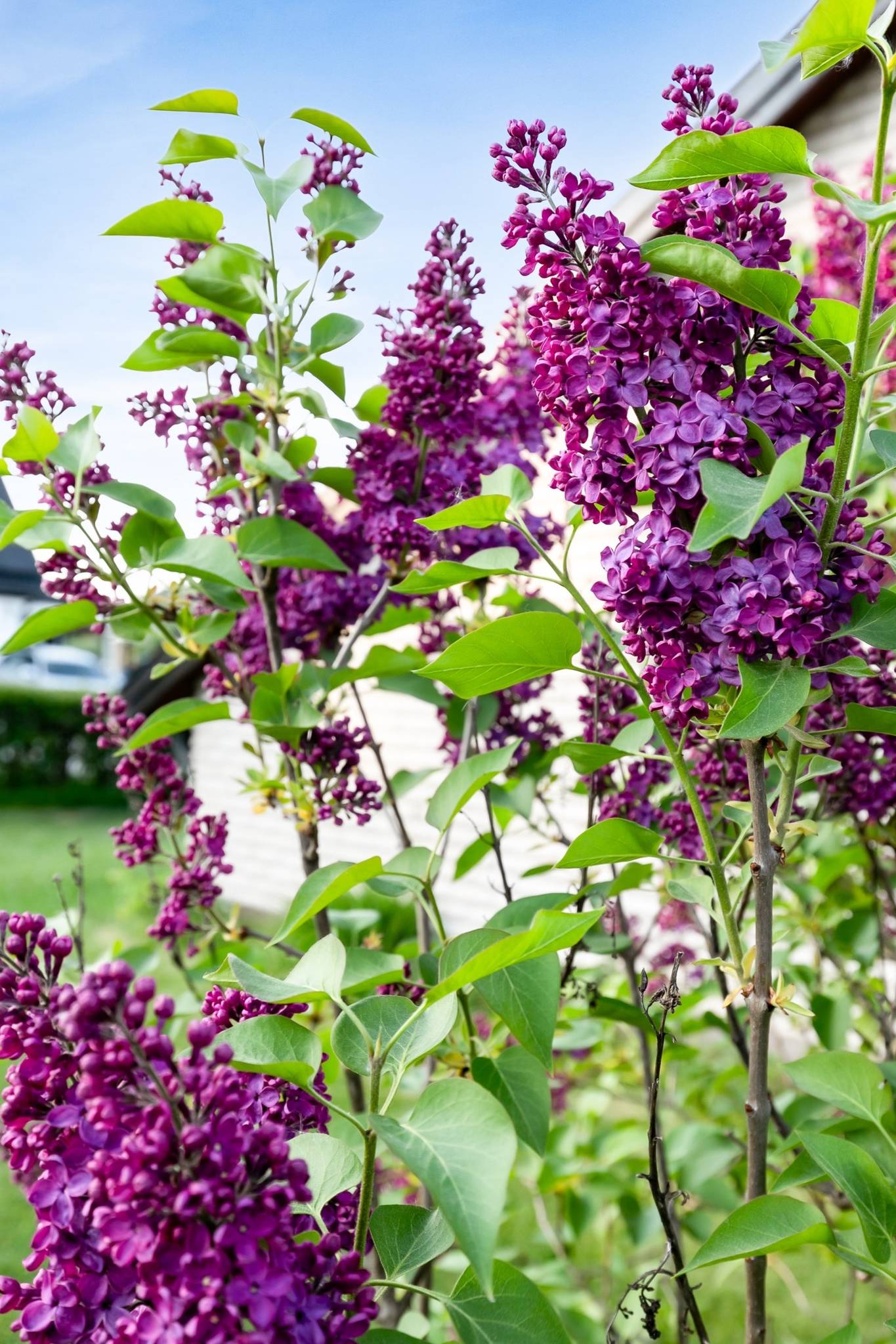 4 rum Villa på Björnstigen 9 Nora Nora kommun - bild 39