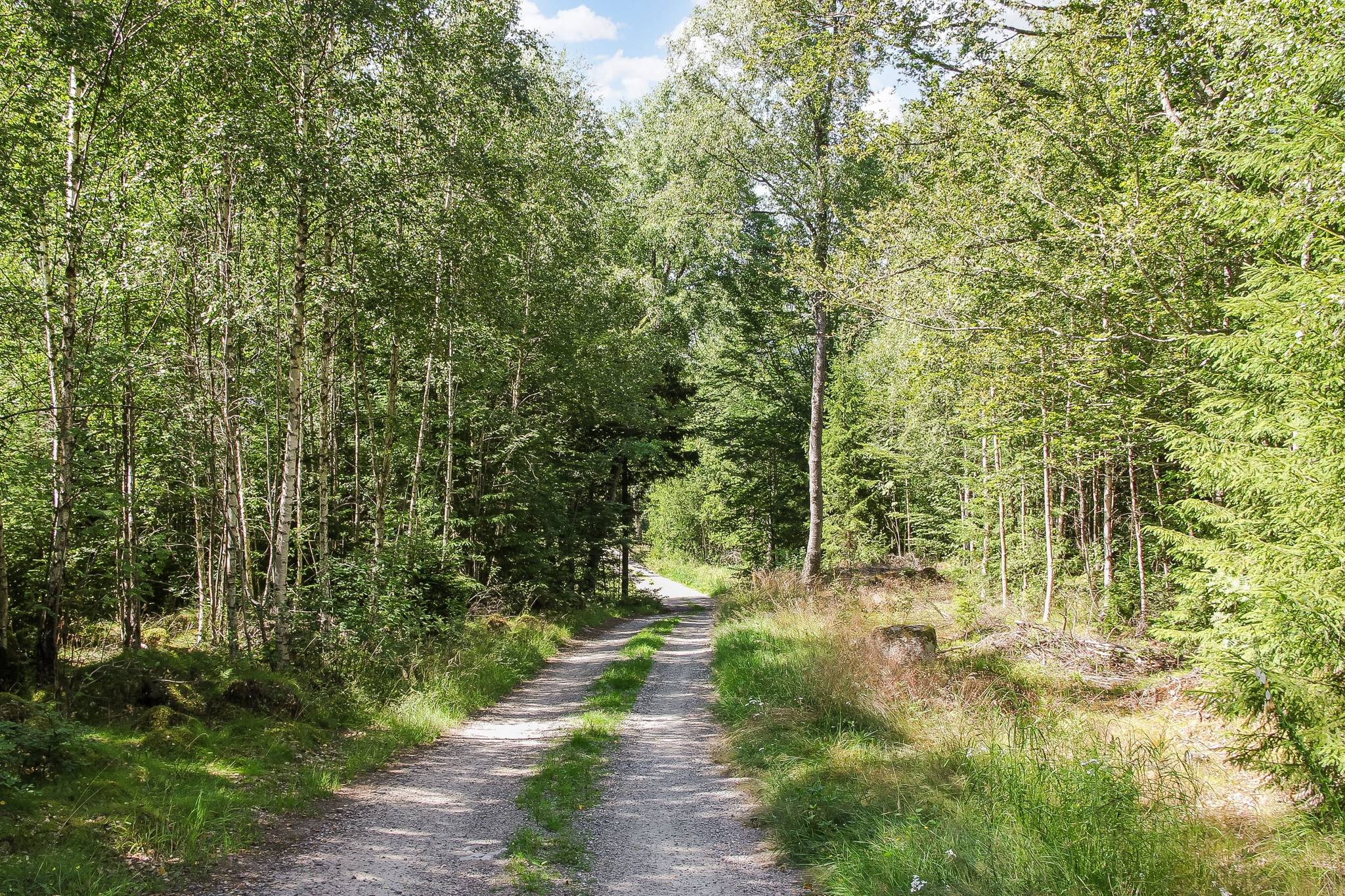 133 m² Gård/skog på Lilla Vittsjö 556 Vittsjö Hässleholms kommun - bild 32