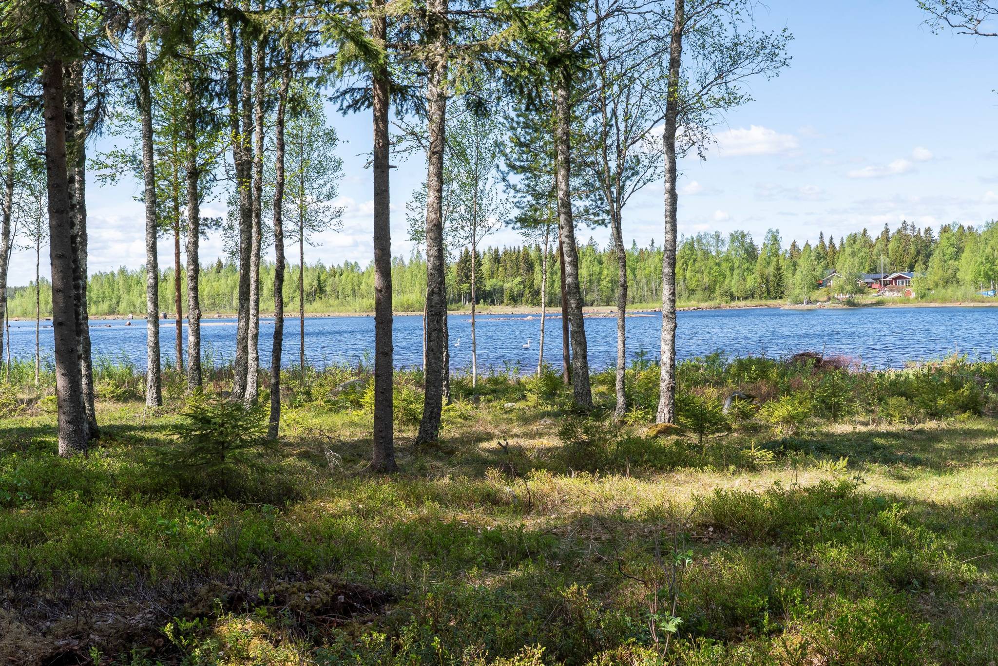 2 rum Fritidshus på Ytterbodafjärden 50 Ytterboda Umeå kommun - bild 30
