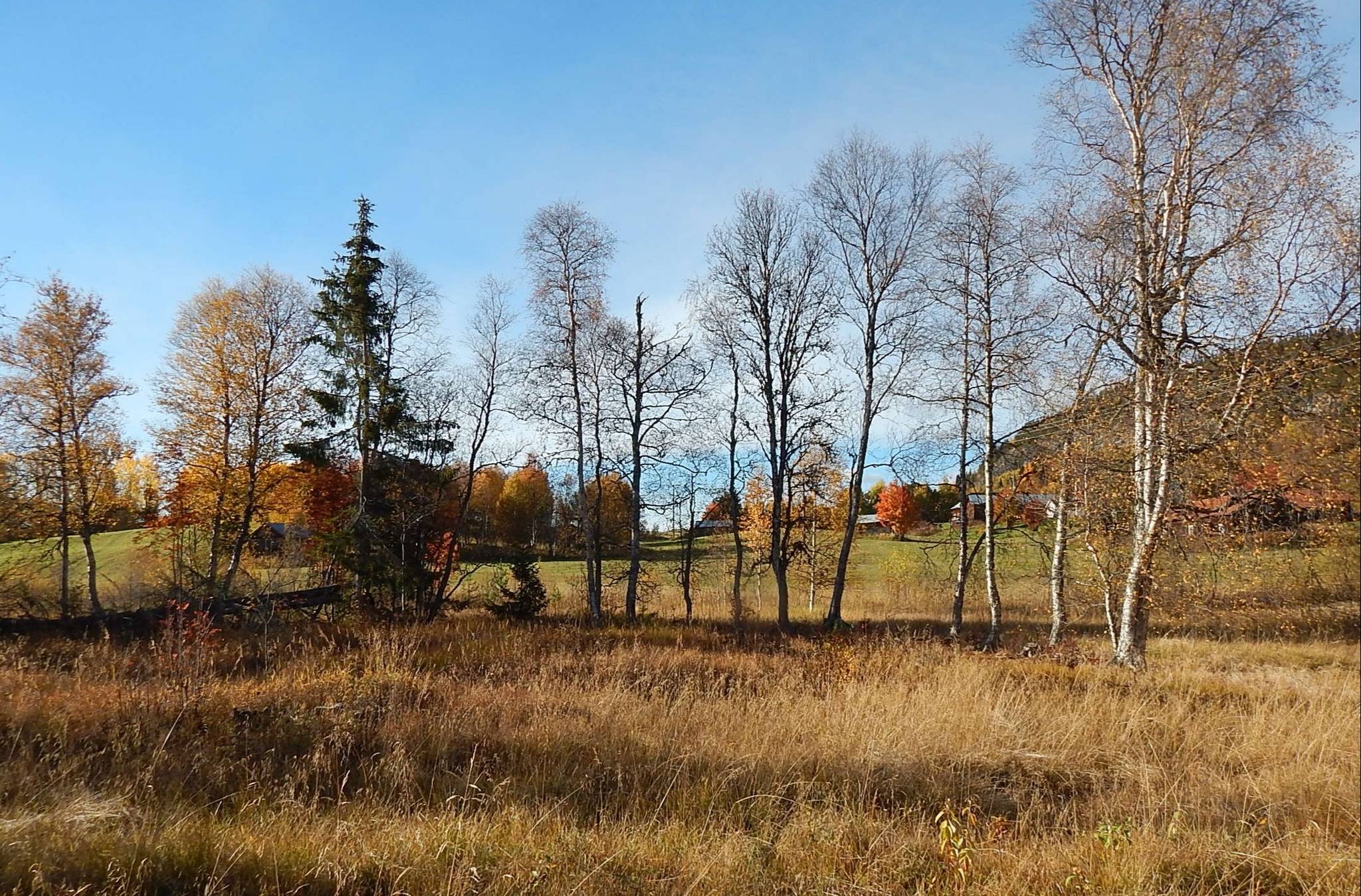 Tännäs, Härjedalens kommun