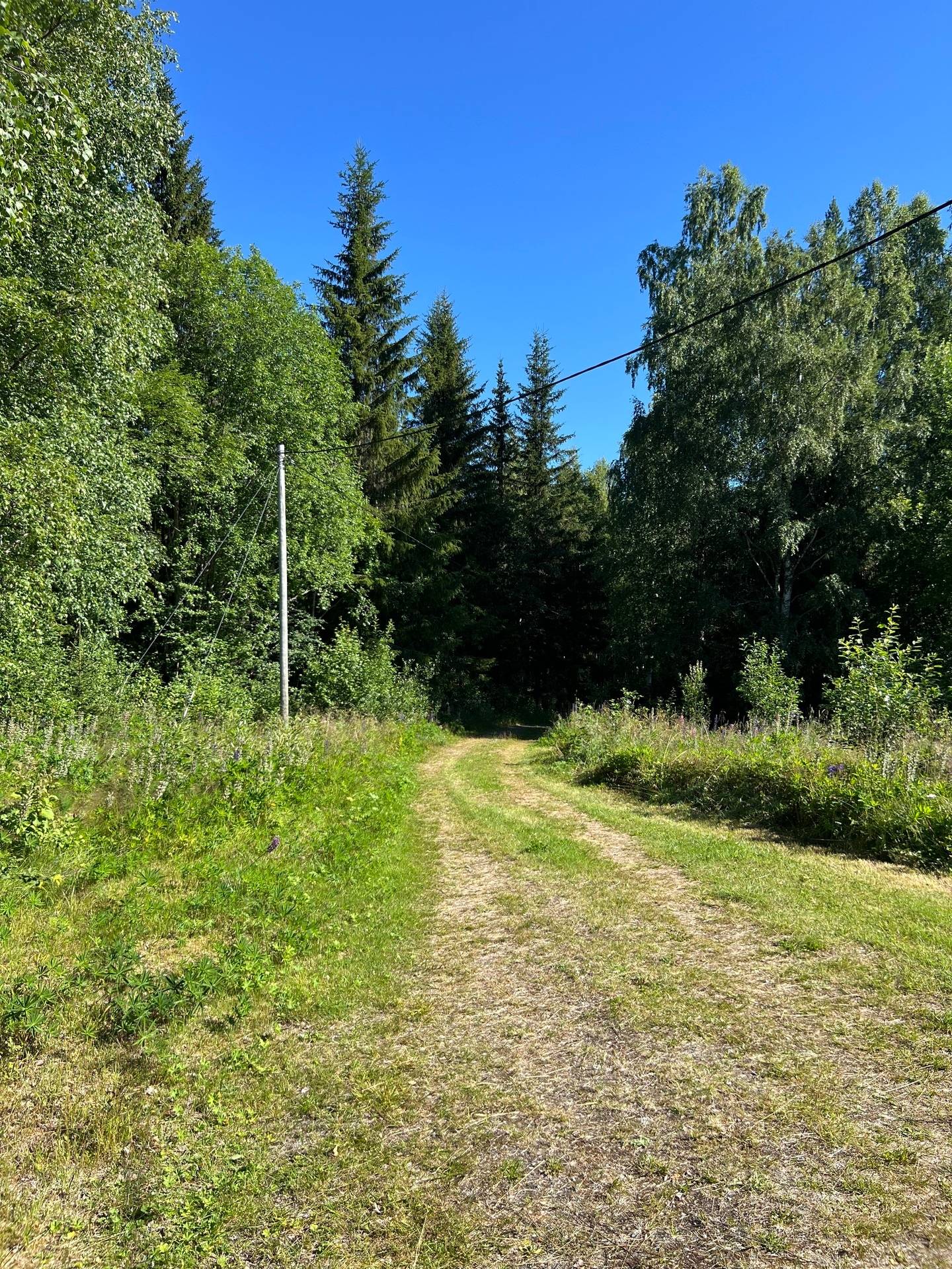 Gård/skog på Bördigt vid Norrberg LJUSDAL - NORRBERG Ljusdals kommun - bild 11