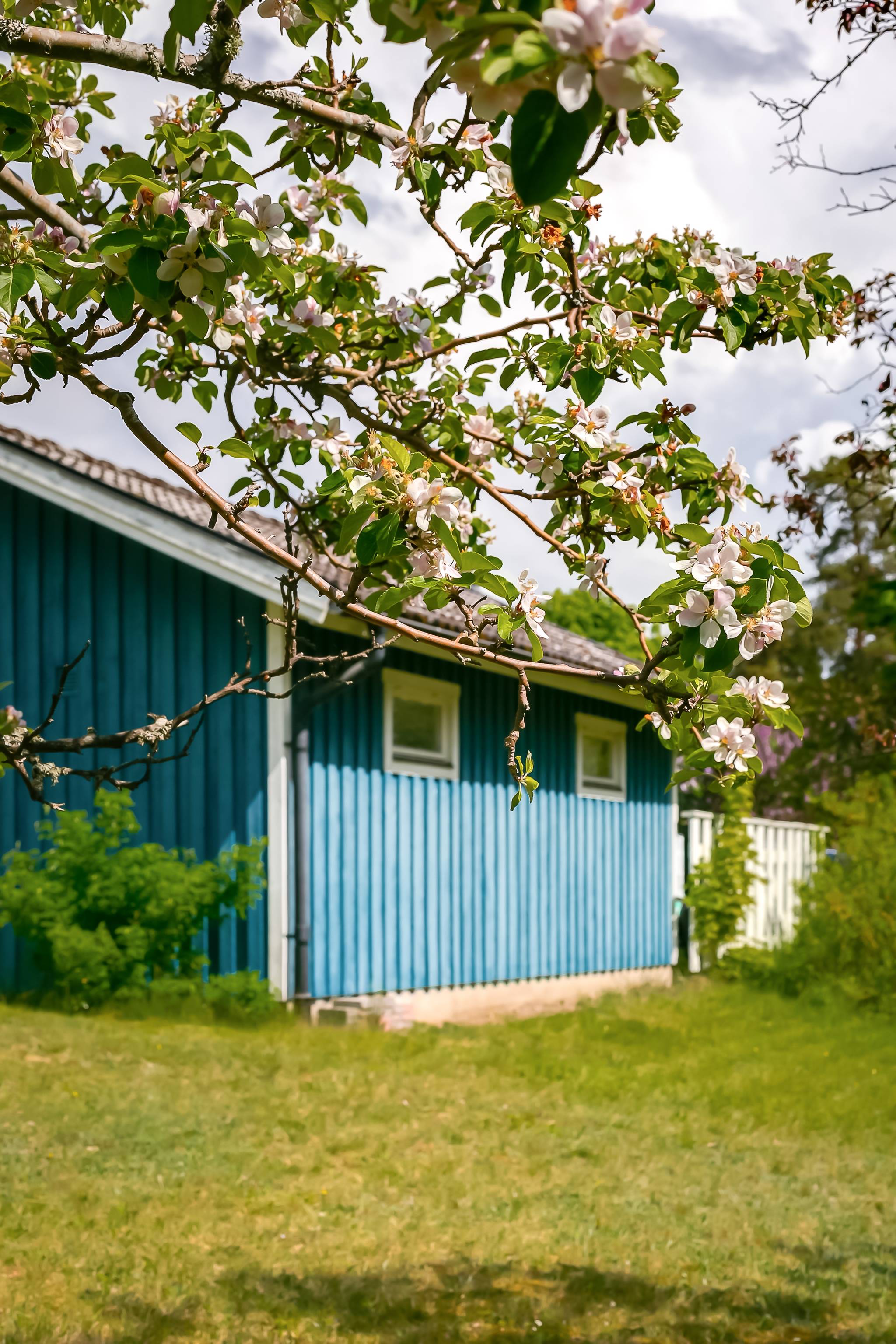 6 rum Villa på Strandvägen 230 Bråvikens Norra strand Norrköpings kommun - bild 23