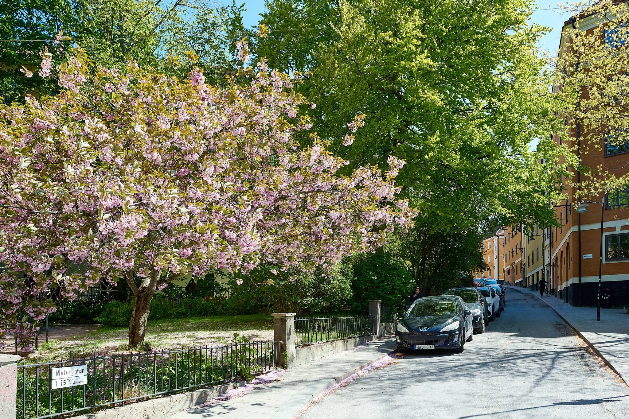 2 rum Lägenhet på Metargatan 13 Södermalm Sofia Stockholms kommun - bild 30