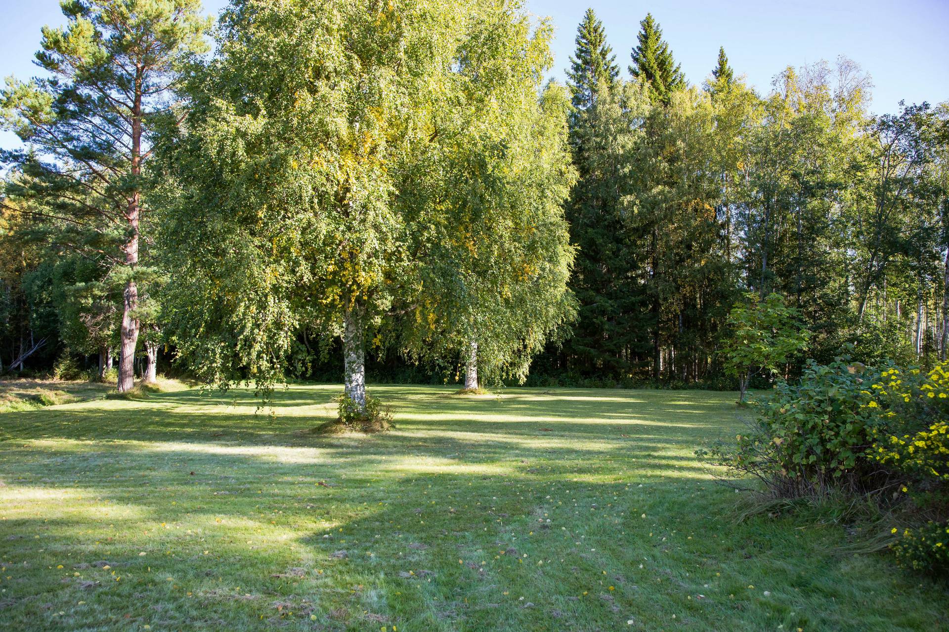 6 rum Fritidshus på Dellenvägen 28 Gammelsträng Hudiksvalls kommun - bild 8