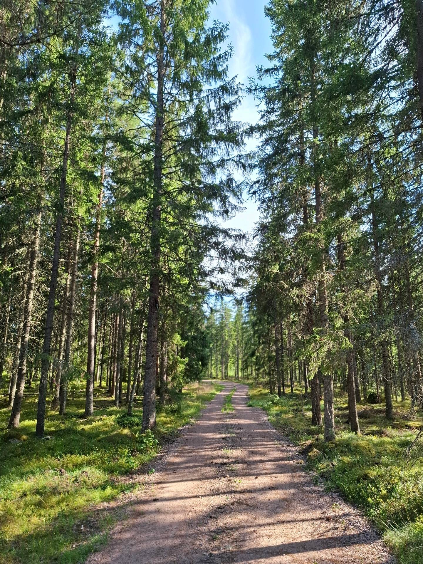 Gård med skogsbruk Jönköping Jönköpings kommun - bild 3