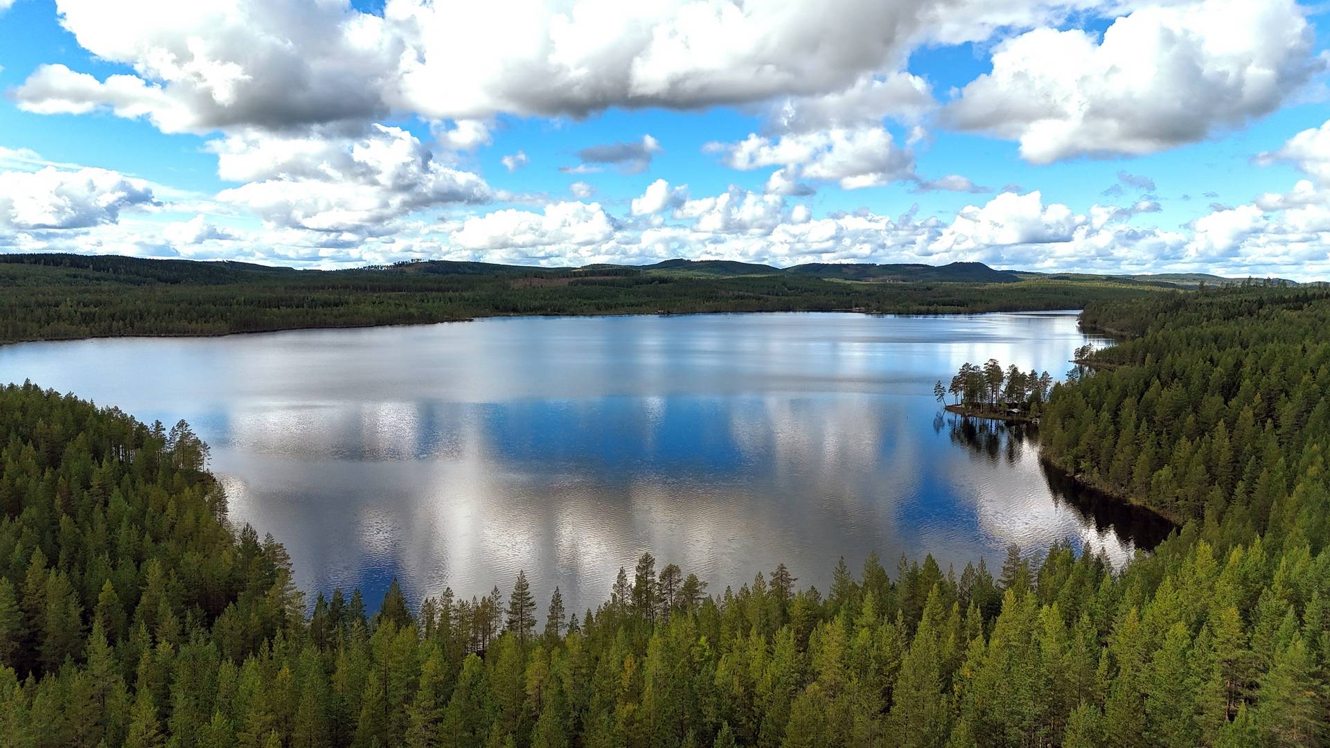 Gård med skogsbruk på Breasen Färila Ljusdals kommun - bild 5