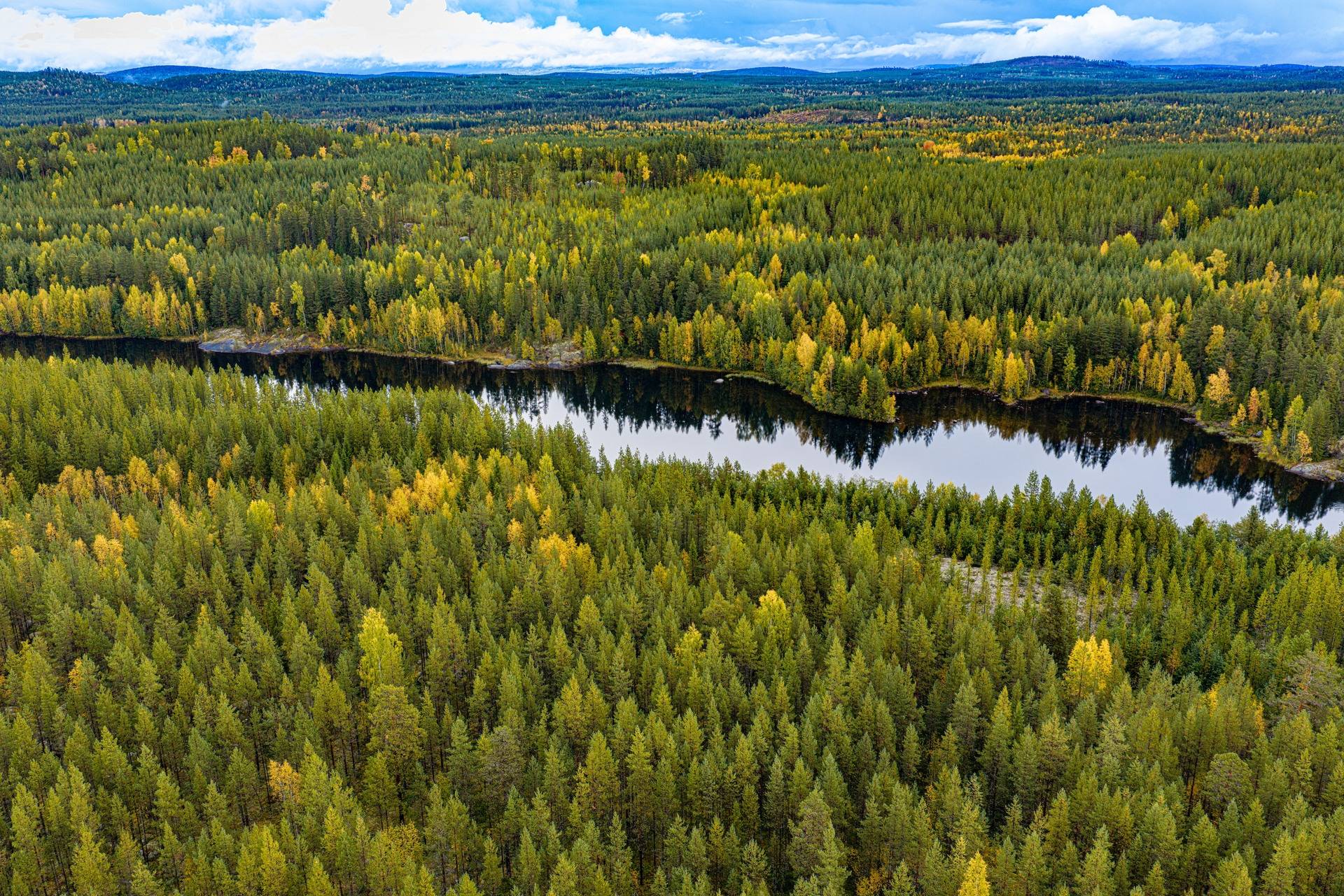 Gård/skog på Fjällsjö-Sunnansjö Strömsunds kommun - bild 2