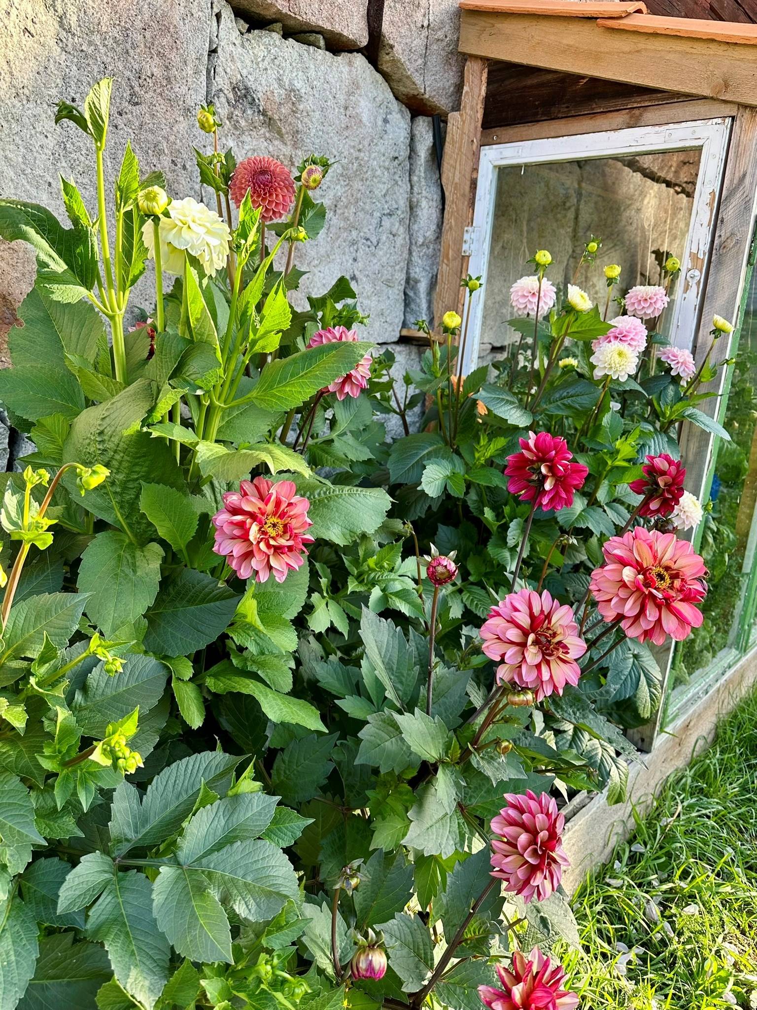6 rum Gård/skog på Fränstavägen 211 Fränsta Ånge kommun - bild 51