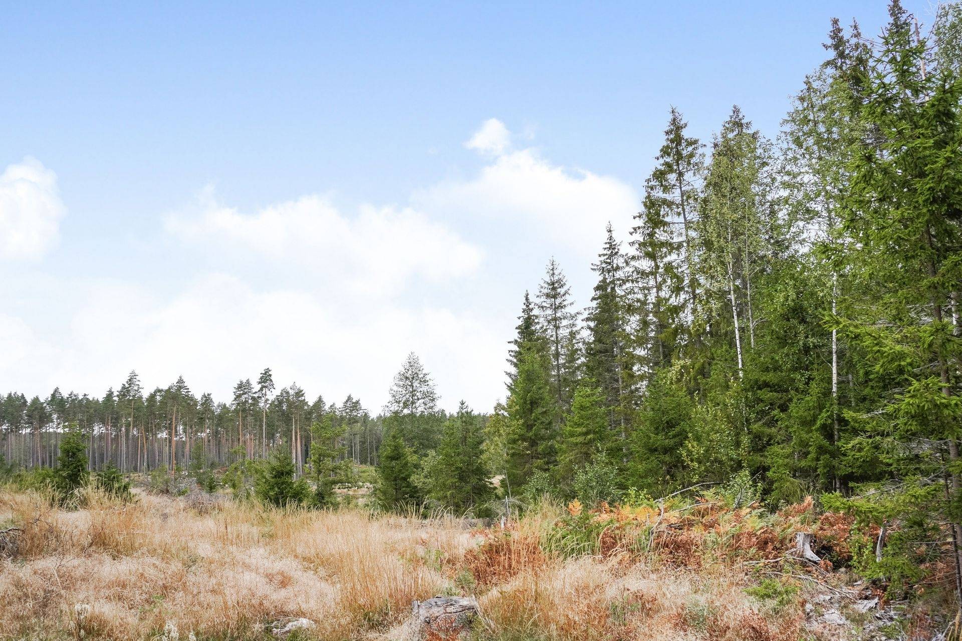 Gård med skogsbruk på Norrtälje Bro 4:8 & 8:1 Norrtälje kommun - bild 19