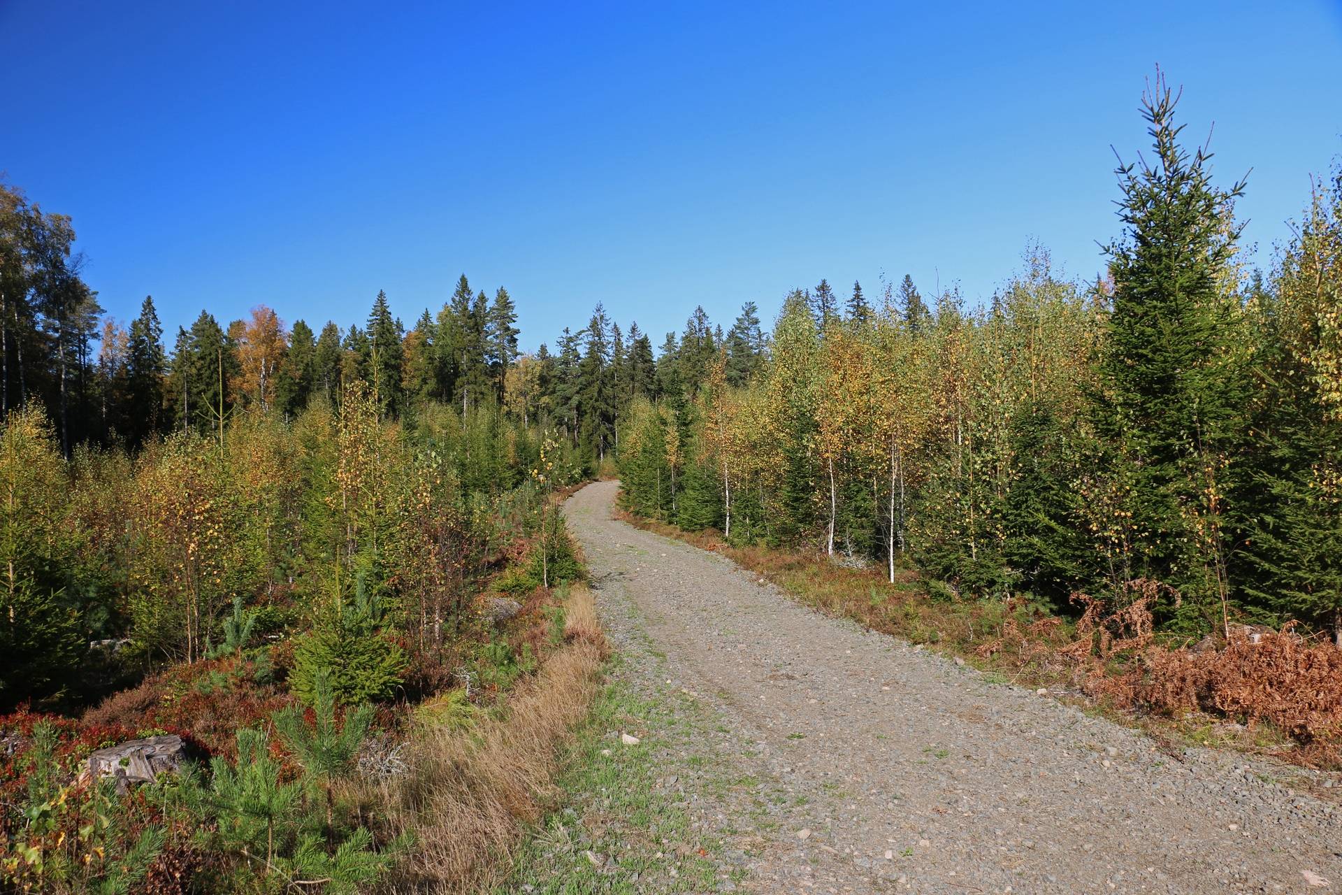 Gård med jordbruk på Älmekulla Ydre kommun - bild 17