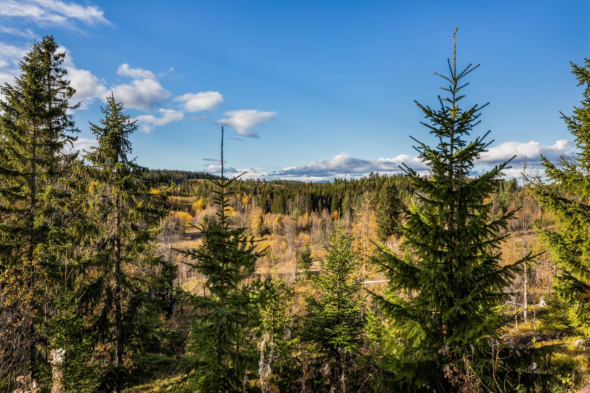 3 rum Fritidshus på Sällsjö 214 Sällsjö Åre kommun - bild 24