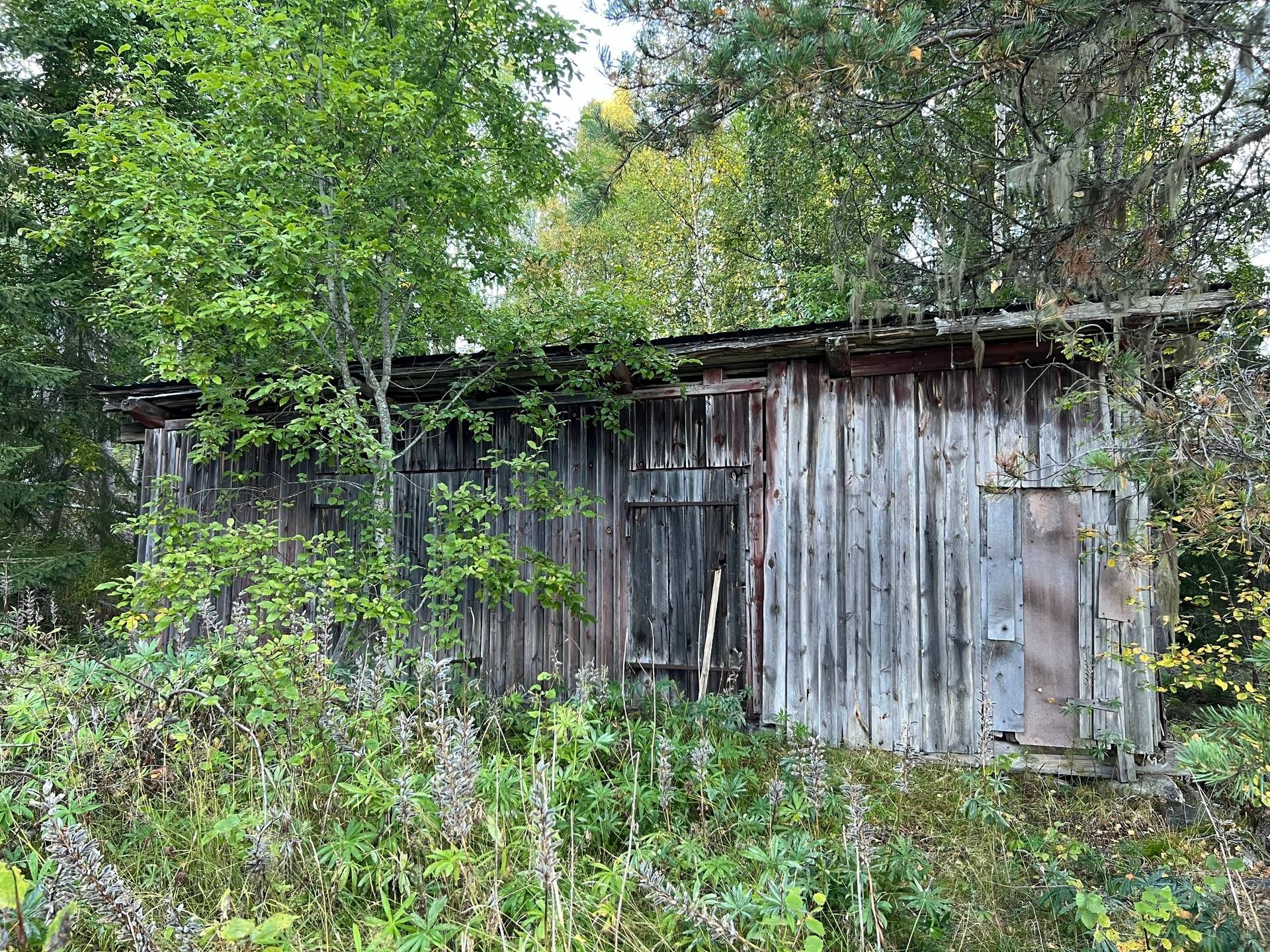 Gård/skog på Bördigt vid Norrberg LJUSDAL - NORRBERG Ljusdals kommun - bild 13