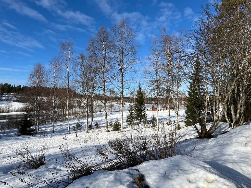 3 rum Fritidshus på Stärkesmark 3 Stärkesmark Vännäs kommun - bild 32
