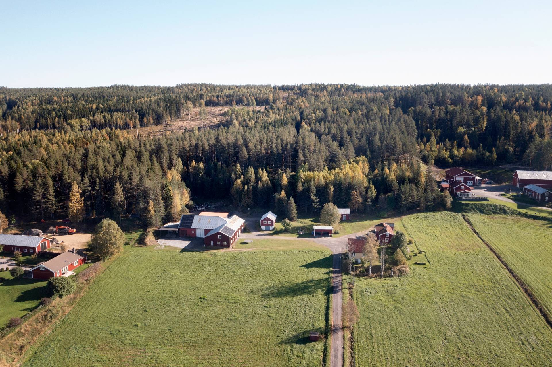 Gård/skog på Rödtjärn 13 Umeå kommun - bild 44