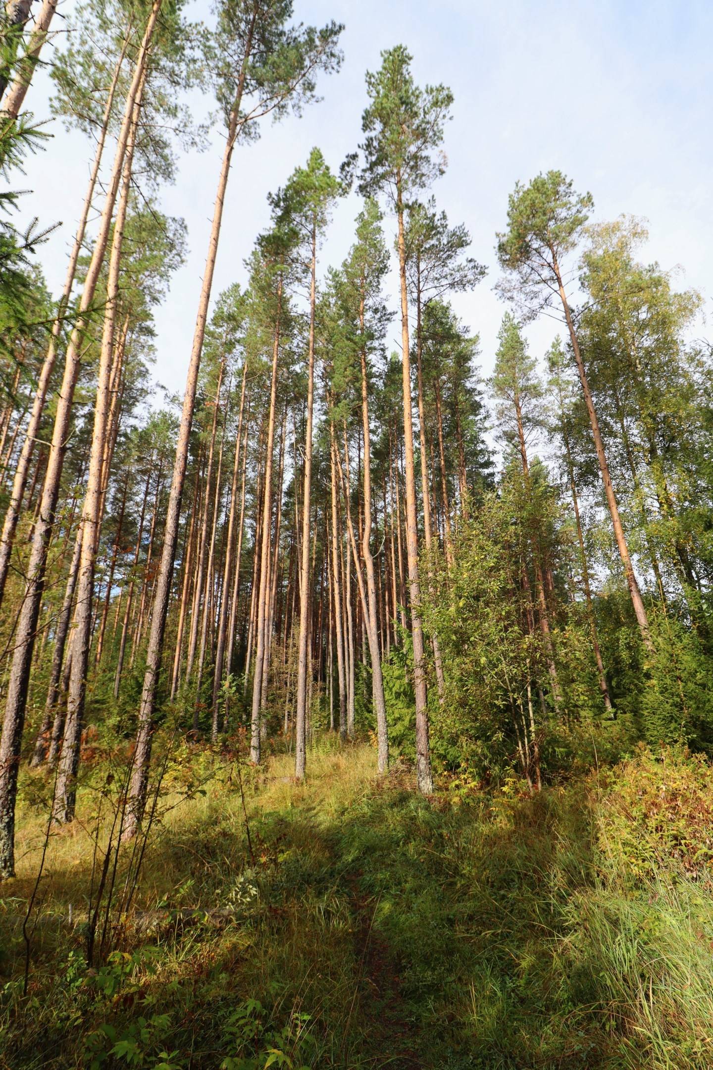 2 rum gård/skog på Haglundavägen 17 Gottröra - Haglunda, Norrtälje kommun - bild 3