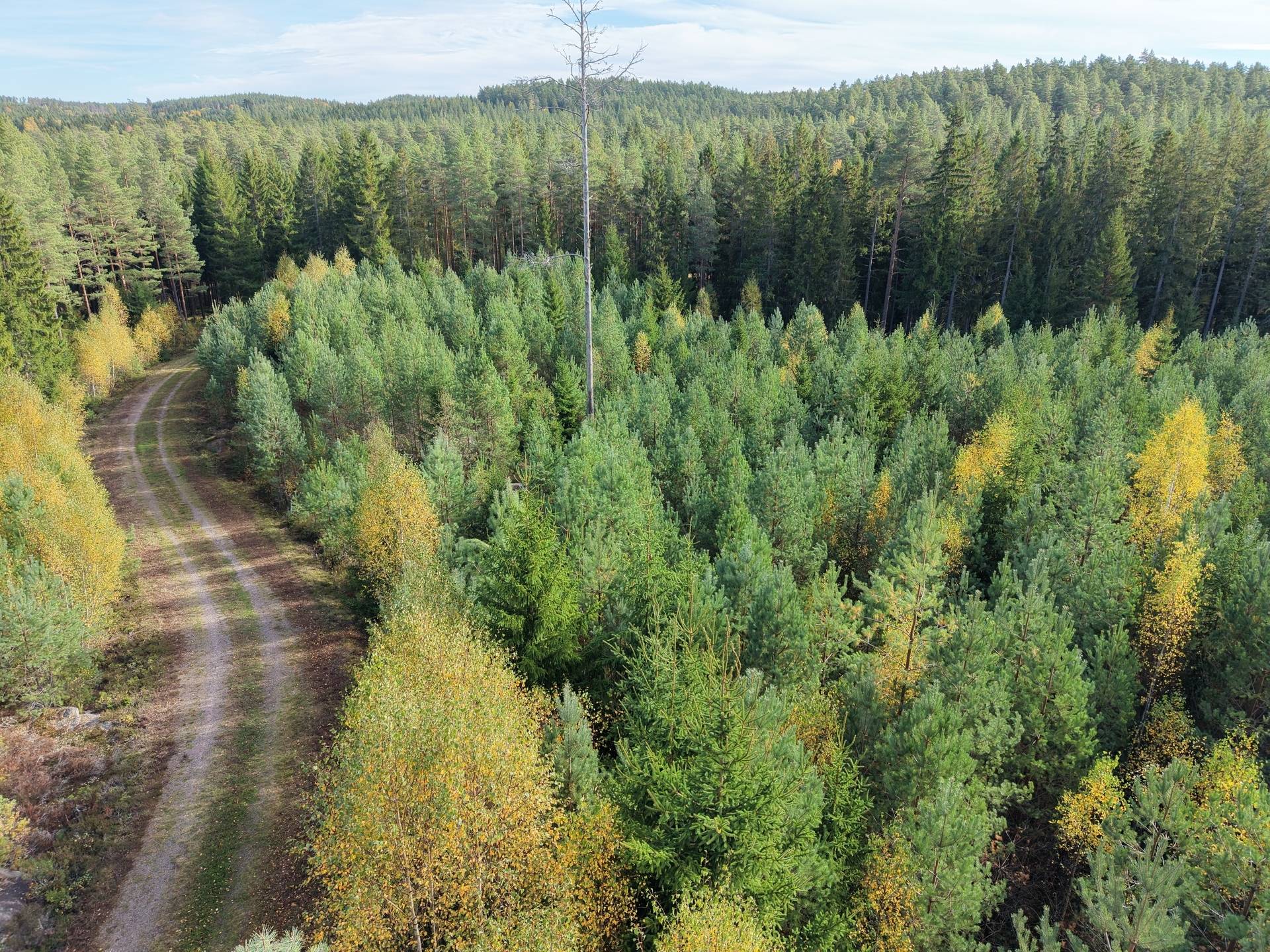 Gård med jordbruk på Vallingedal Nedergård Vallingedal Kinda kommun - bild 42