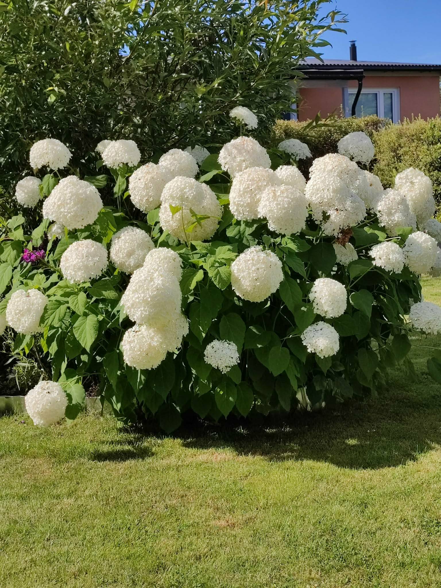 3 rum Lägenhet på Mellringevägen 12 Mellringe Örebro kommun - bild 40