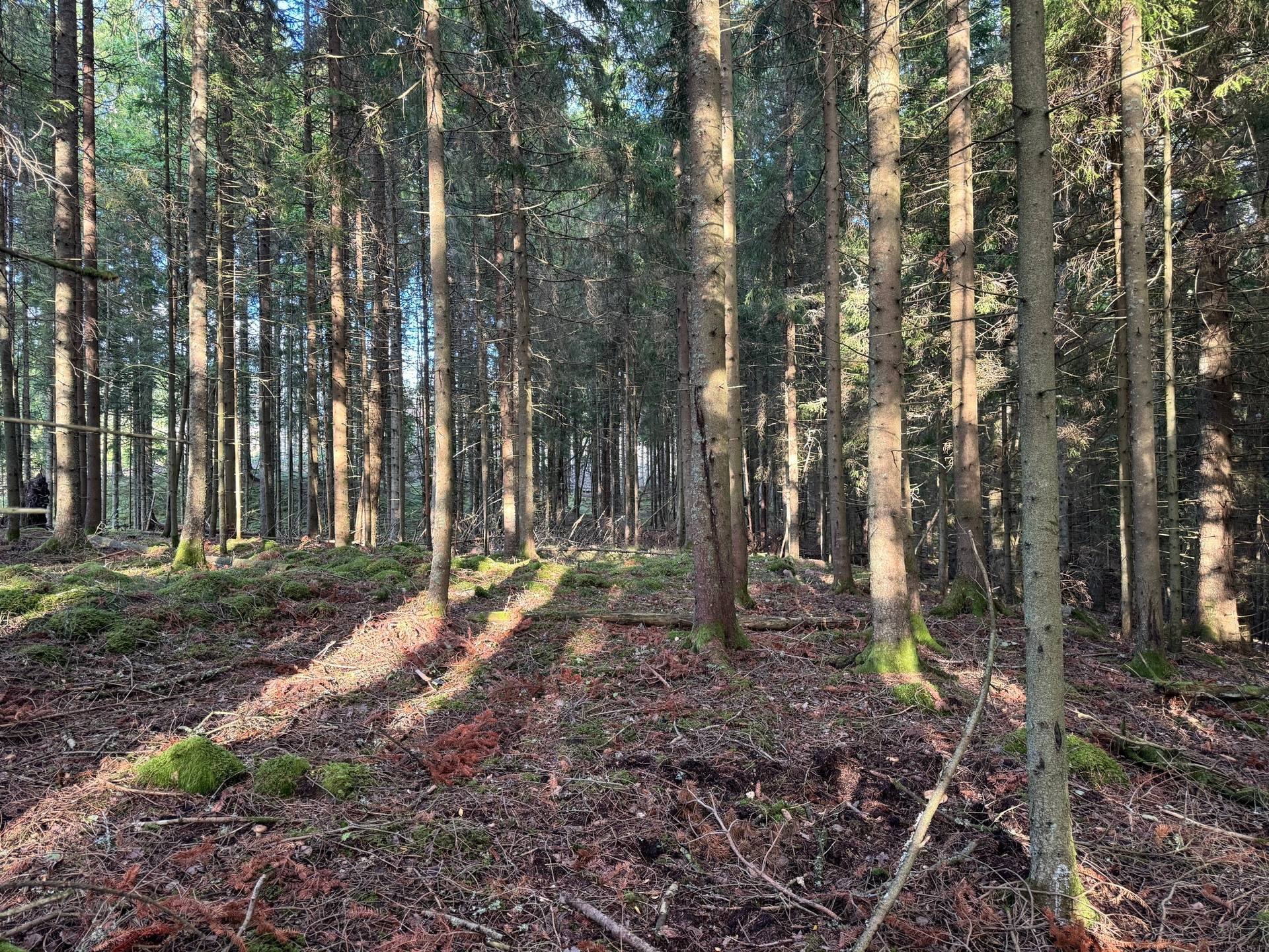 6 rum Gård med jordbruk på Kvarbo gård 2 Borås kommun - bild 52