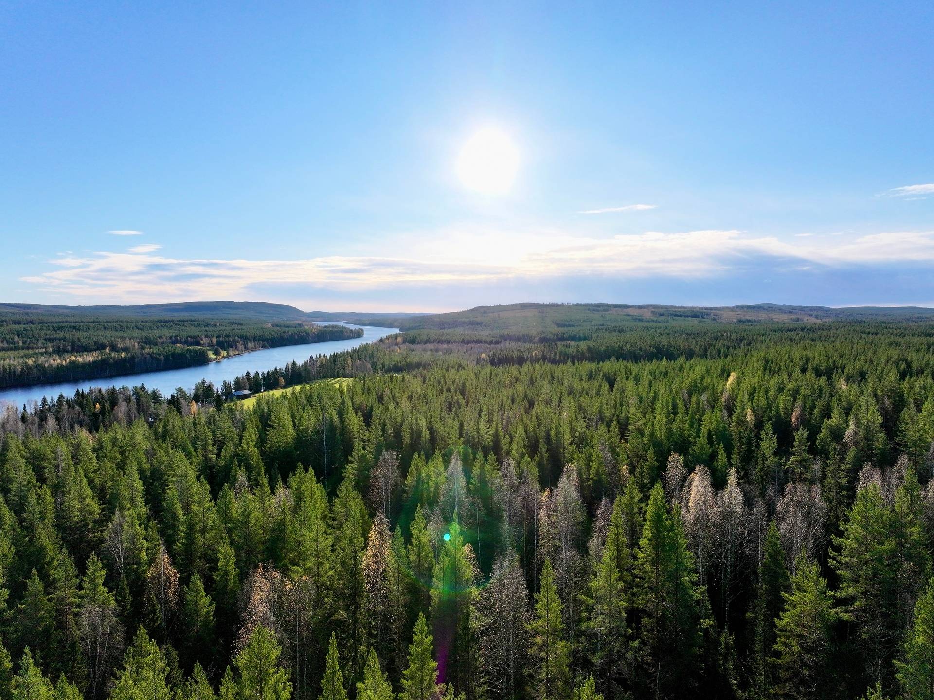 Gård/skog på Granön 4:6 Vindelns kommun - bild 1