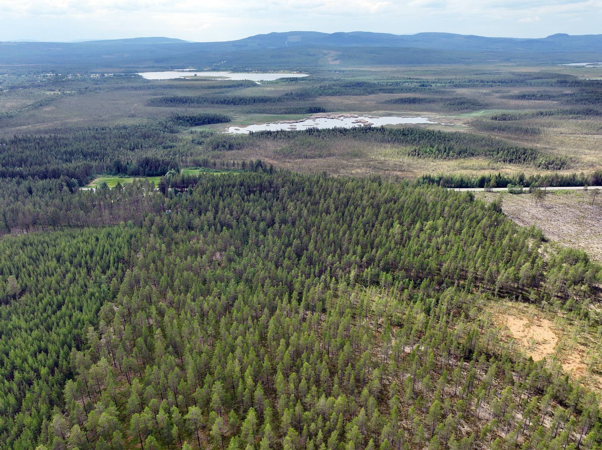 Gård med jordbruk på Svegsvägen 19 Vemhån, Vemdalen Härjedalens kommun - bild 49