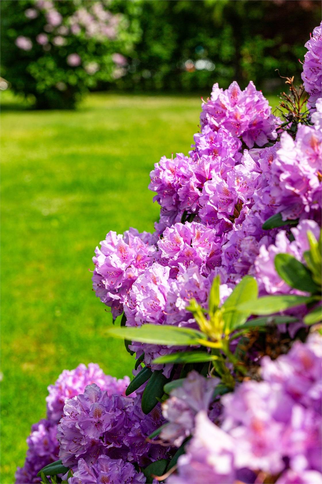4 rum Villa på Blomstervägen 32 Kungsörs kommun - bild 21