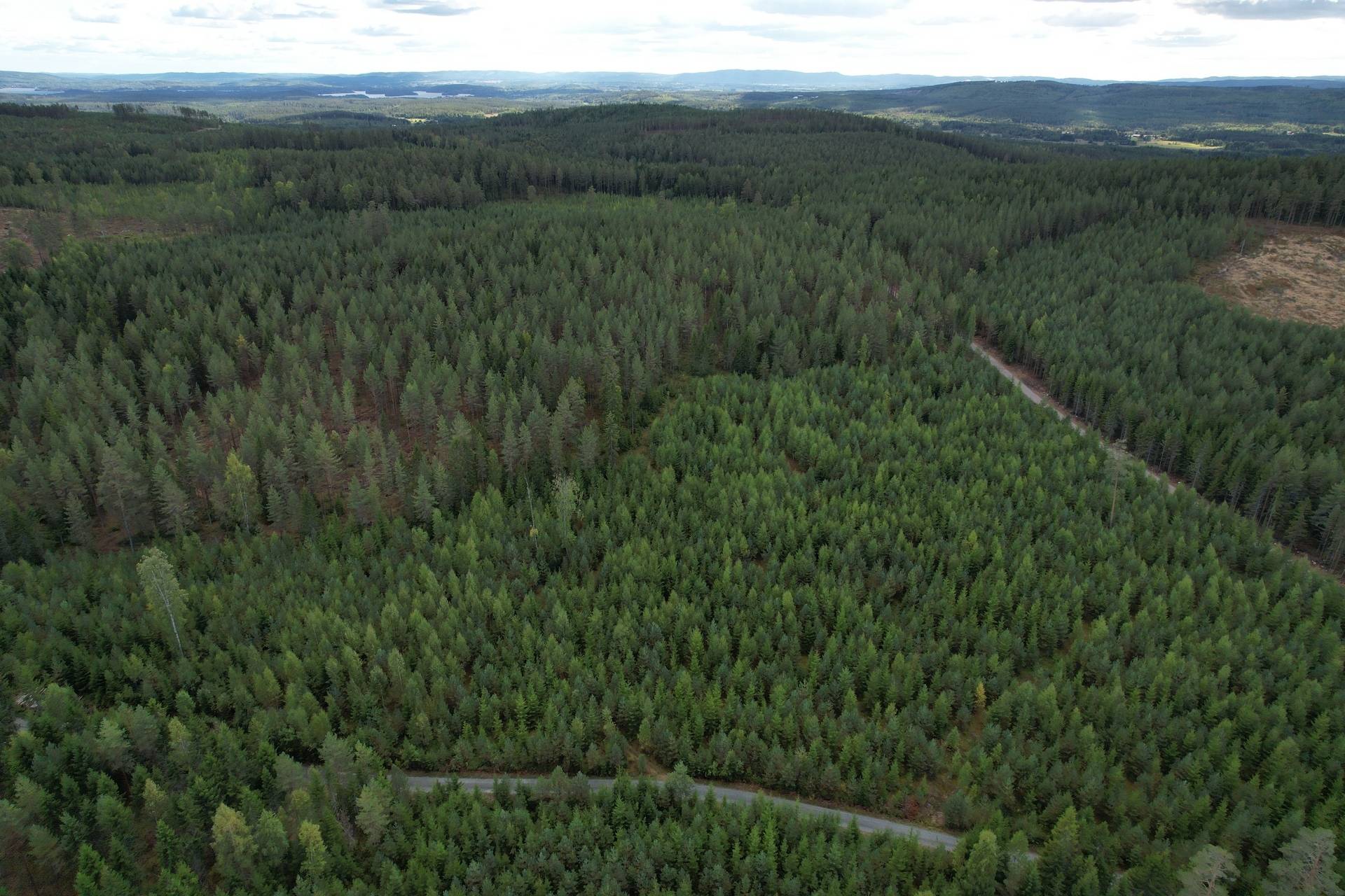 Gård med skogsbruk på Vällgården Falu kommun - bild 35