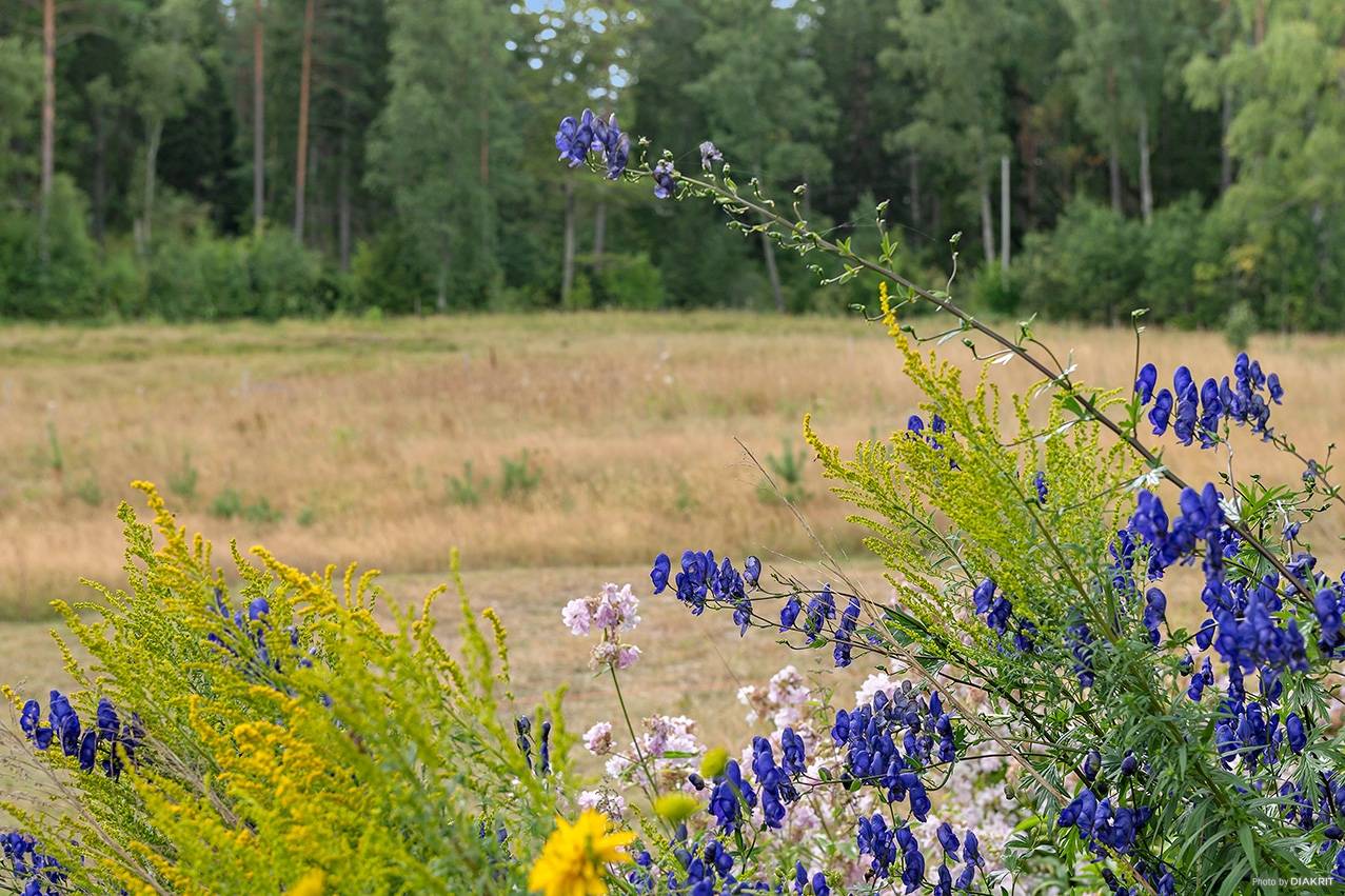 Tomt på Närtunavägen 3 Rimbo Norrtälje kommun - bild 18