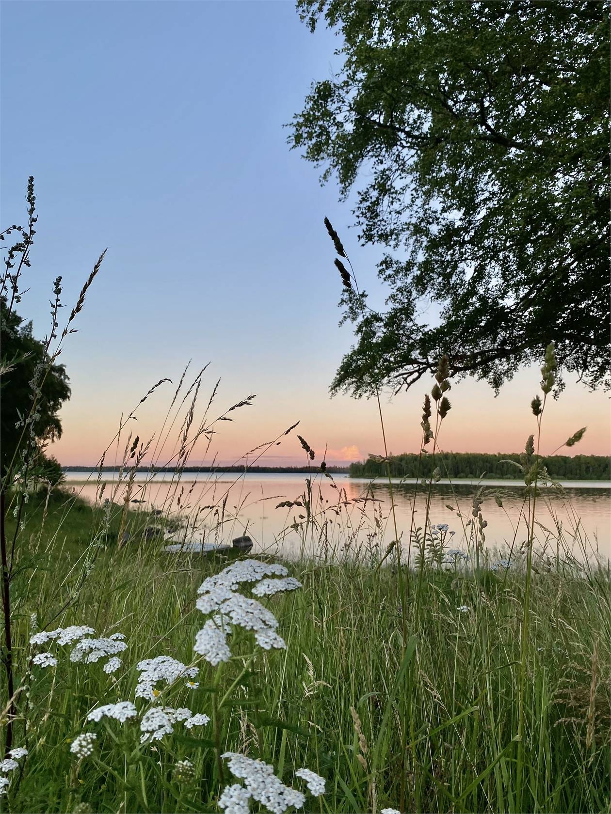 4 rum Villa på Askenäsvägen 2 Ljungby Ljungby kommun - bild 28
