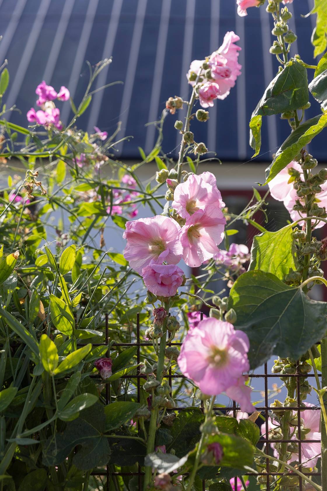 4 rum Villa på Kalkbrottsvägen 33 Smygehamn Trelleborgs kommun - bild 31