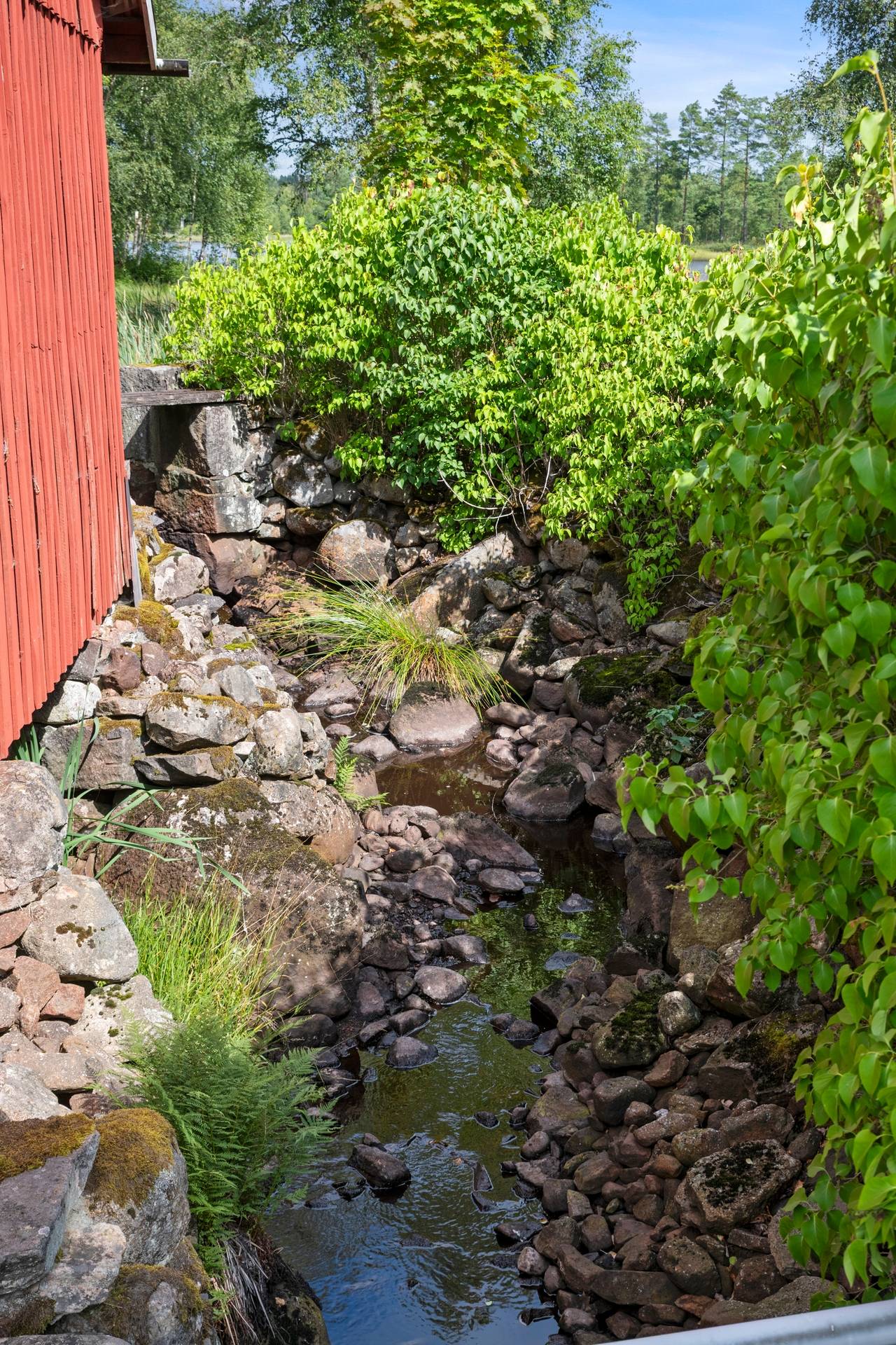 Gård/skog på Hamsarp Sjögården 1257 Osby kommun - bild 32
