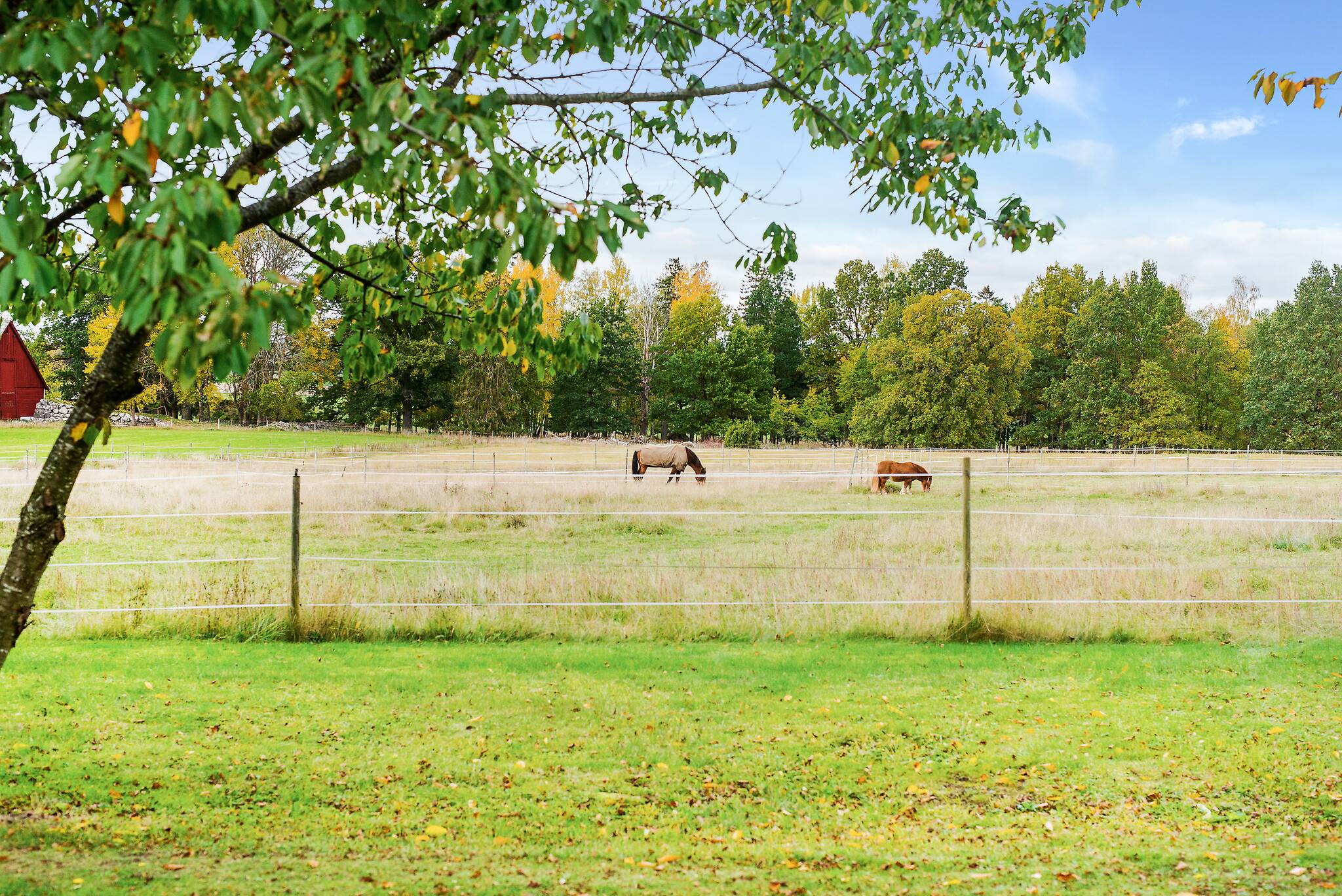 6 rum Villa på Västra Stenby 163 Västra Stenby Motala kommun - bild 45