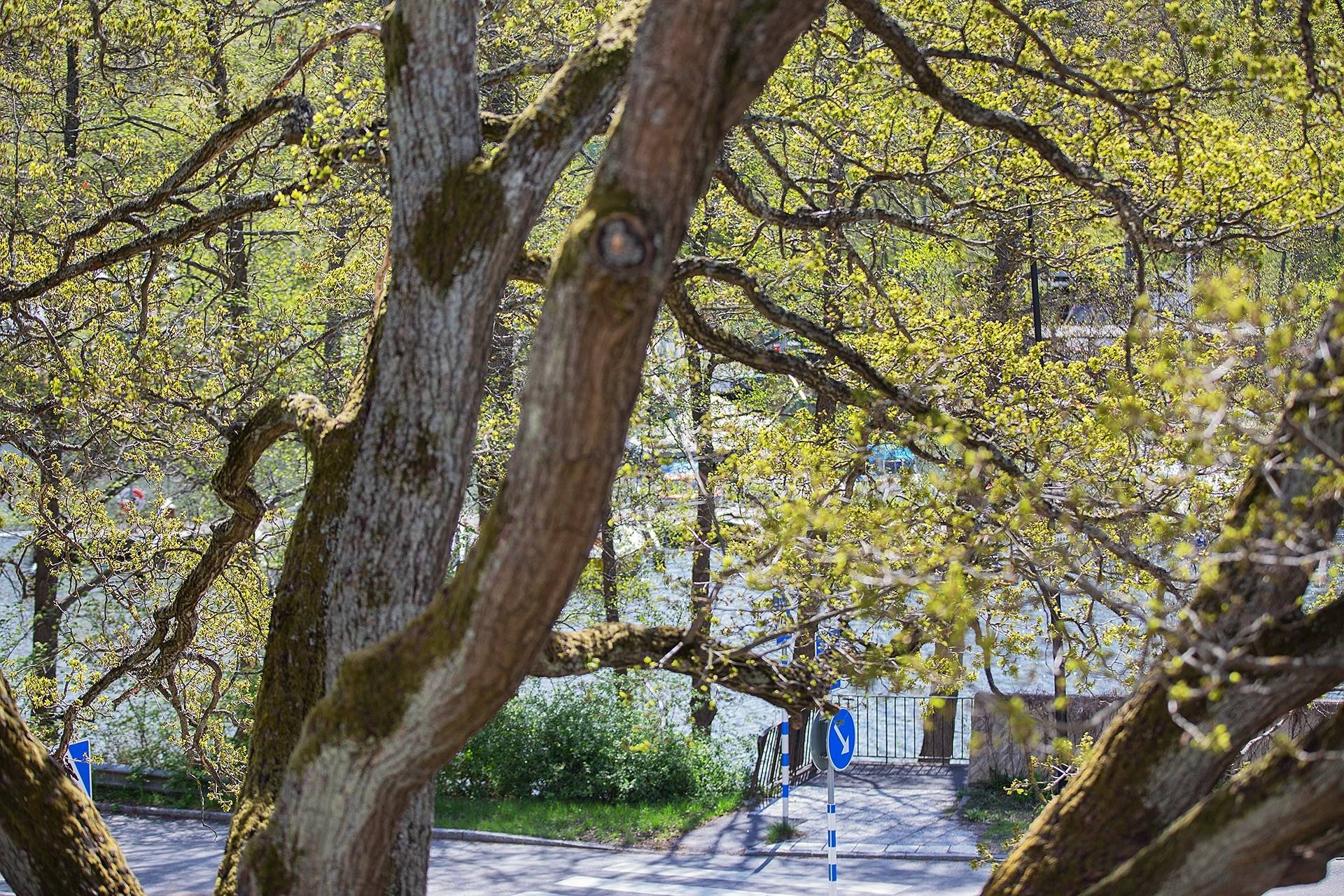 2 rum Lägenhet på Ekensbergsvägen 80 Gröndal Stockholms kommun - bild 6