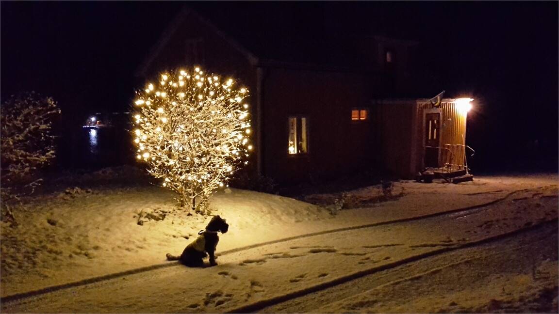 3 rum Villa på Gäddasvägen 14 Lugnviksstrand Kramfors kommun - bild 39