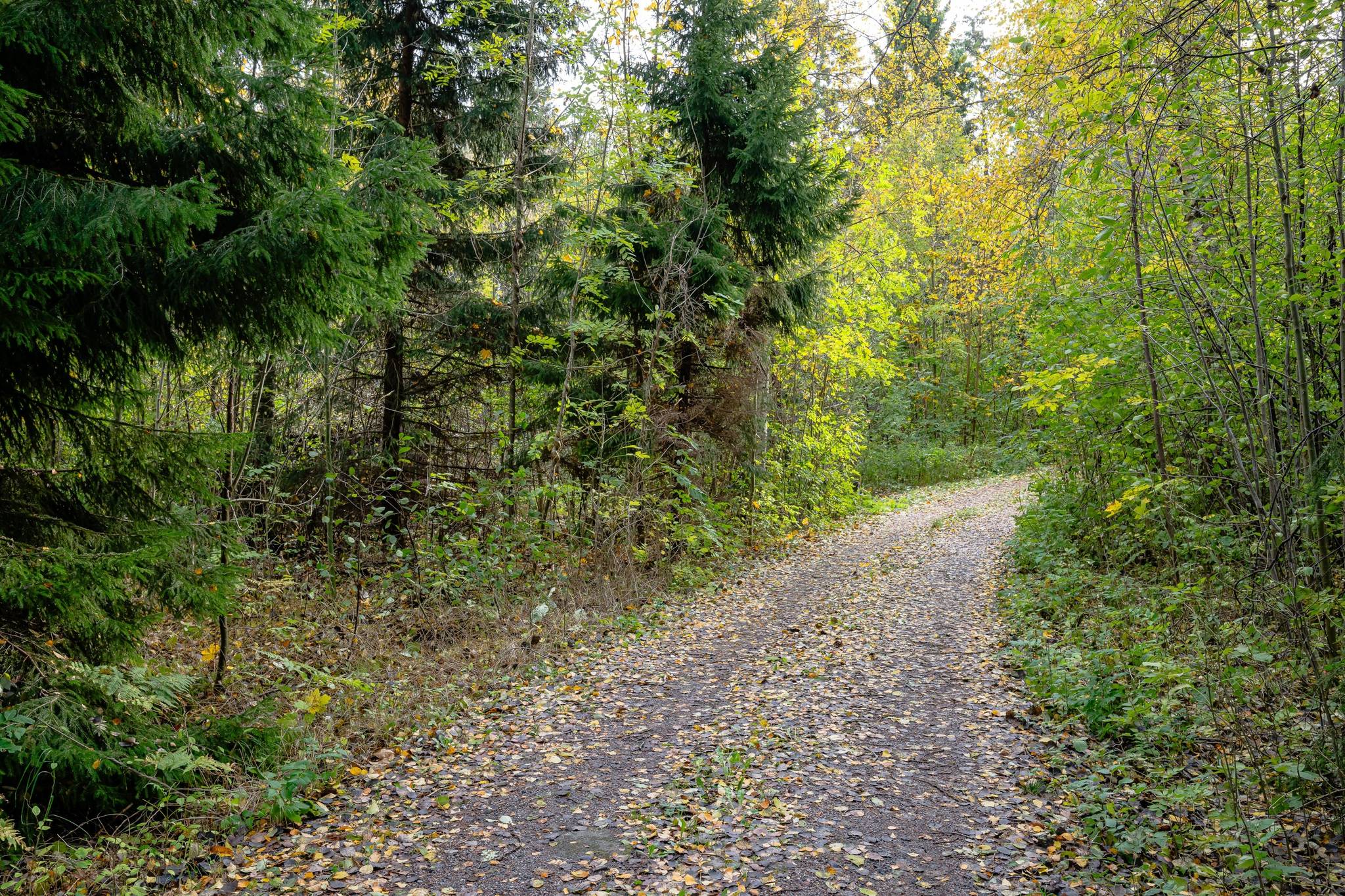 3 rum Villa på Täljövägen 16 Täljö Österåkers kommun - bild 21