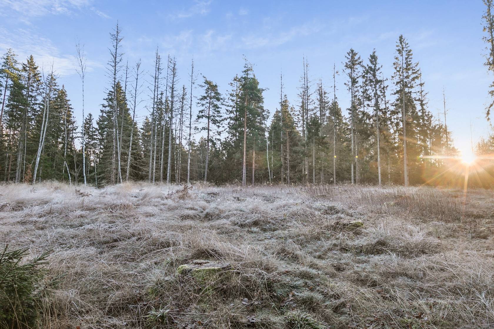 Tomt på Borg Albrektstorp 9 Norrköpings kommun - bild 11