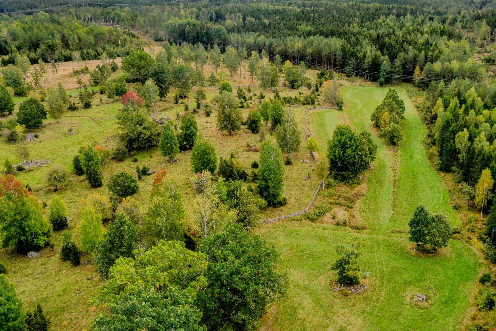 4 rum Gård/skog på Stormandebo Koltorp Västervik/Vimmerby Västerviks kommun - bild 3