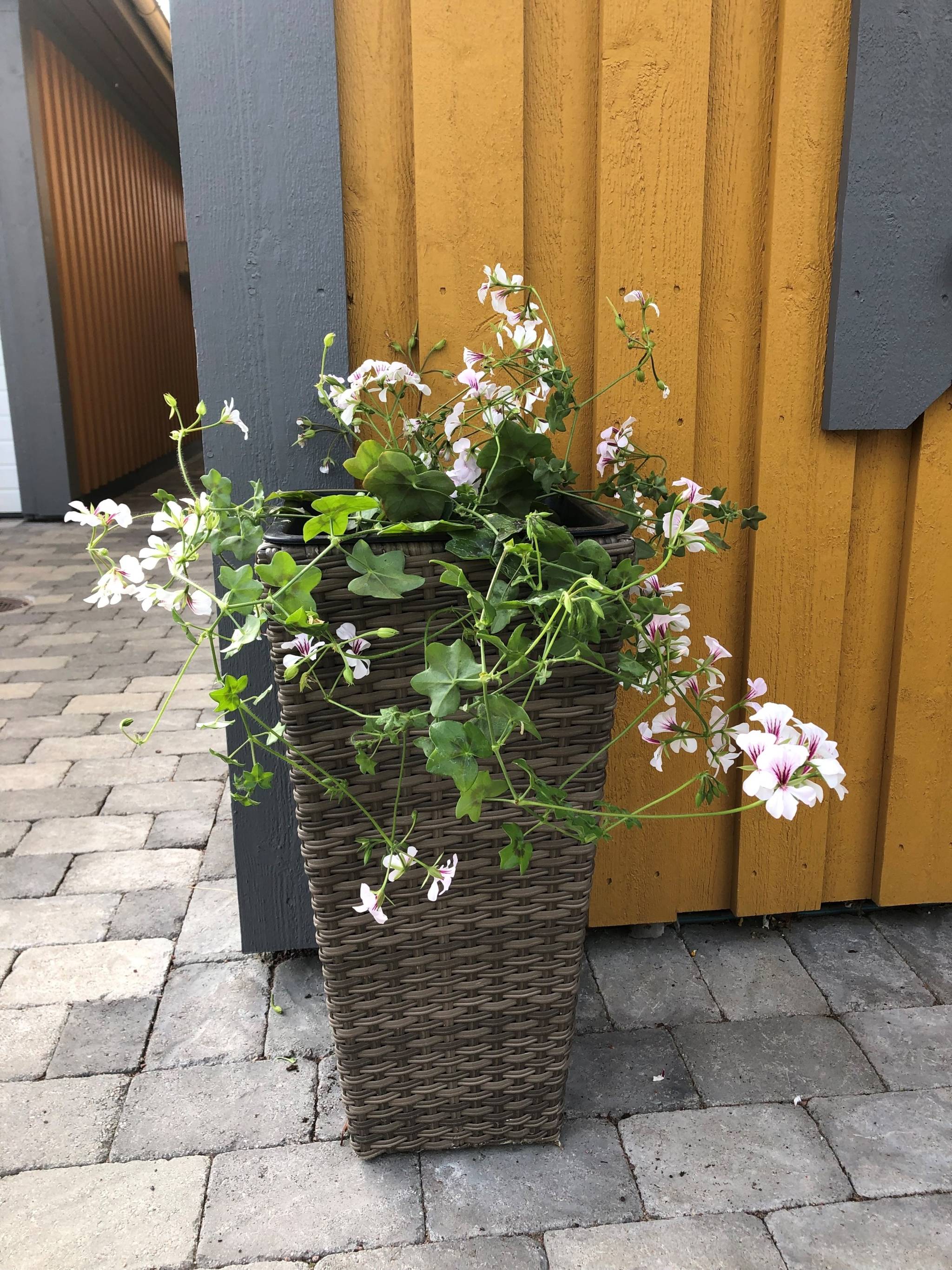 6 rum Parhus på Duvkullegatan 13 Hagalund Karlstads kommun - bild 35