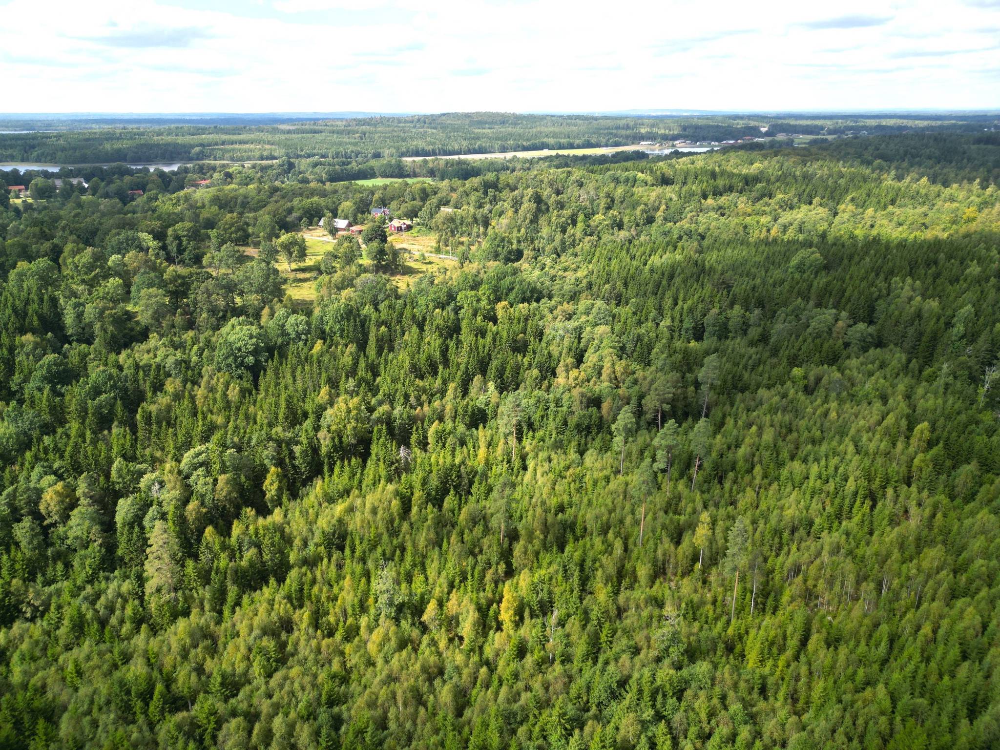 Gård med skogsbruk på Ed Nissatorp 1 Värnamo kommun - bild 7