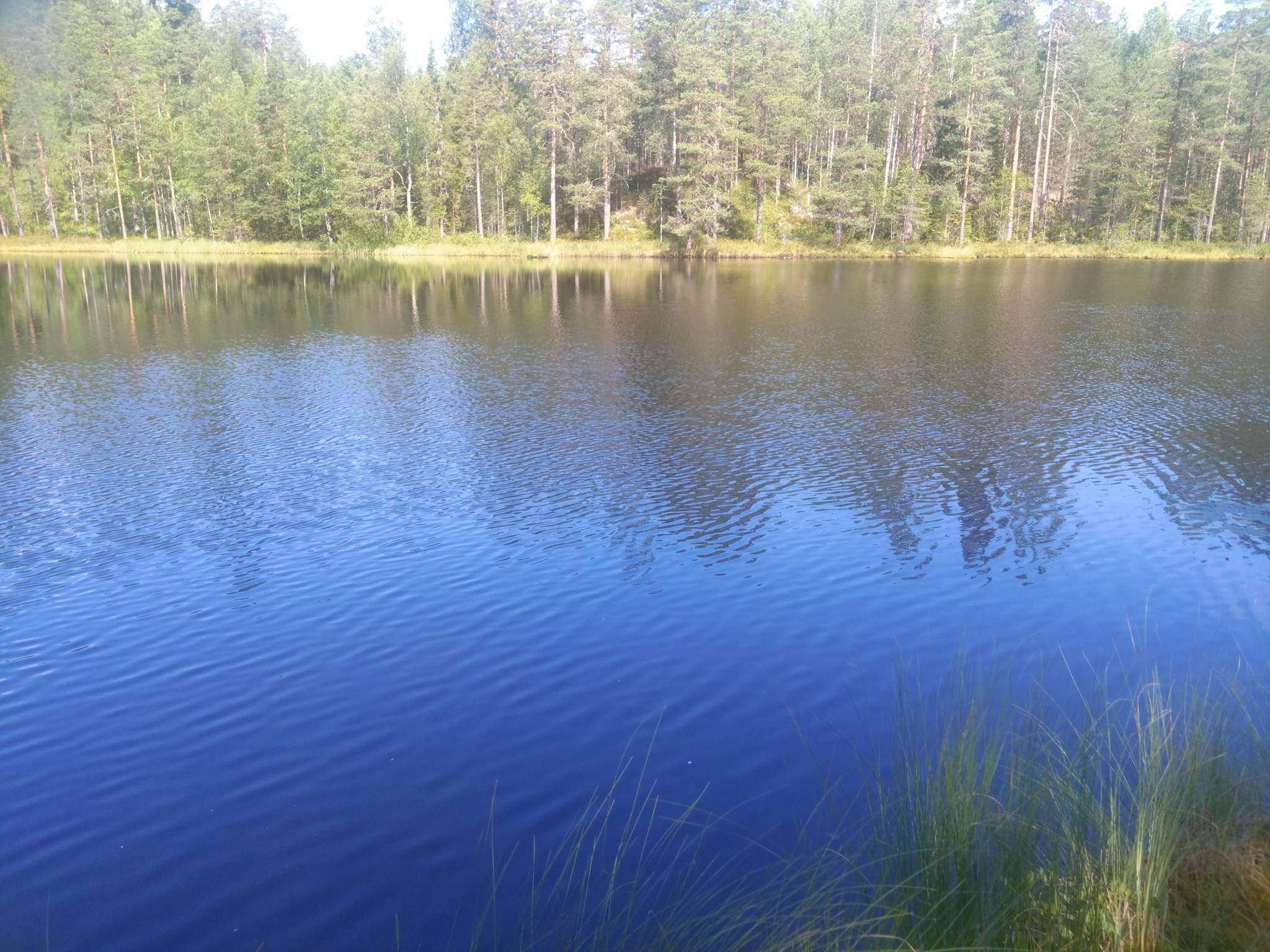 Gård/skog på Hyttskogen Resta Lindesbergs kommun - bild 12