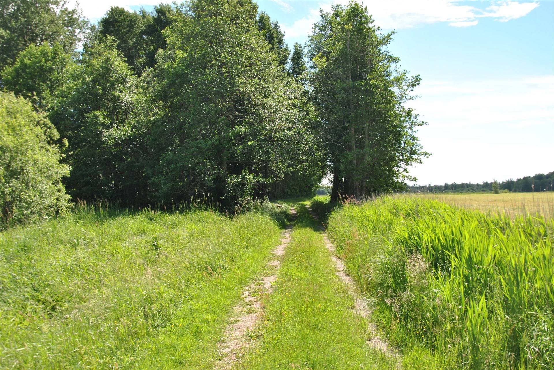 54 m² Fritidshus på Holmestrand 127 Holmestrand Vänersborgs kommun - bild 24