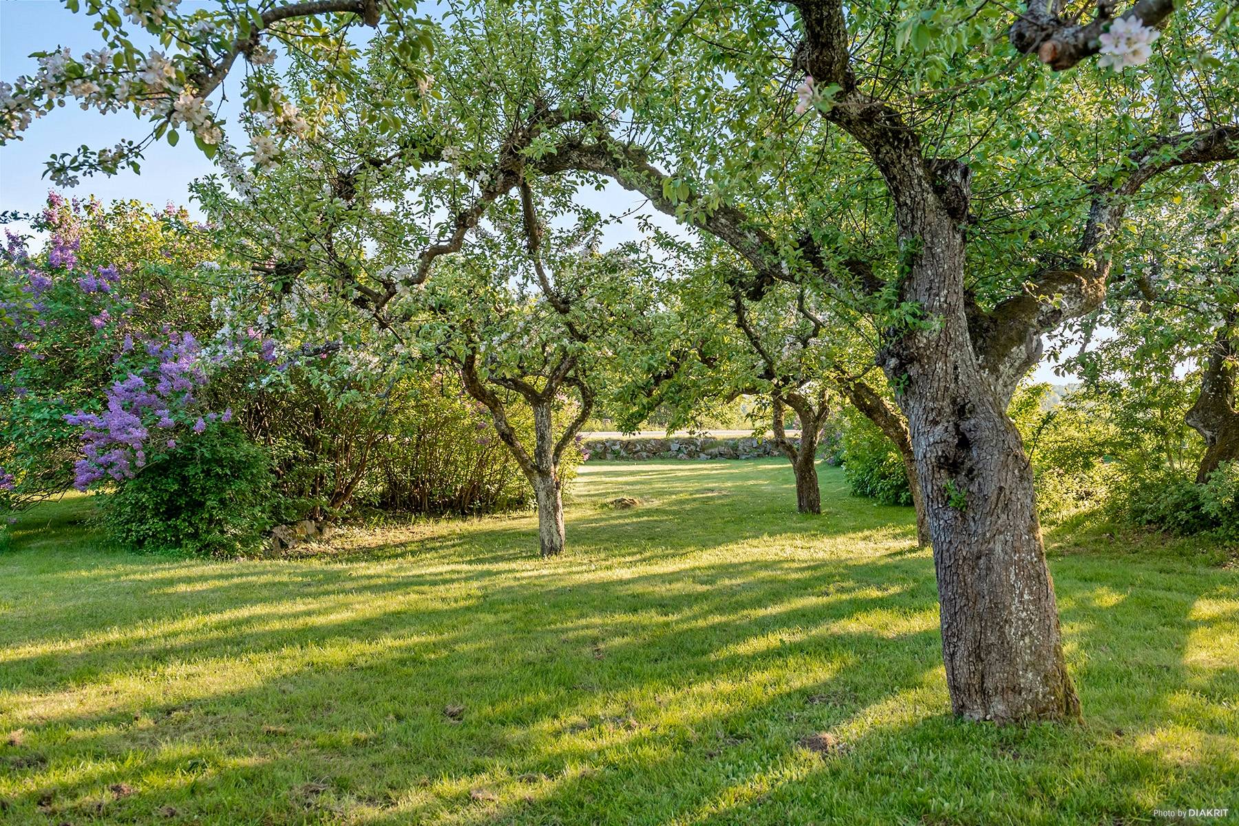 6 rum Villa på Ebbetorpsvägen 30 Torsebro Kristianstads kommun - bild 32