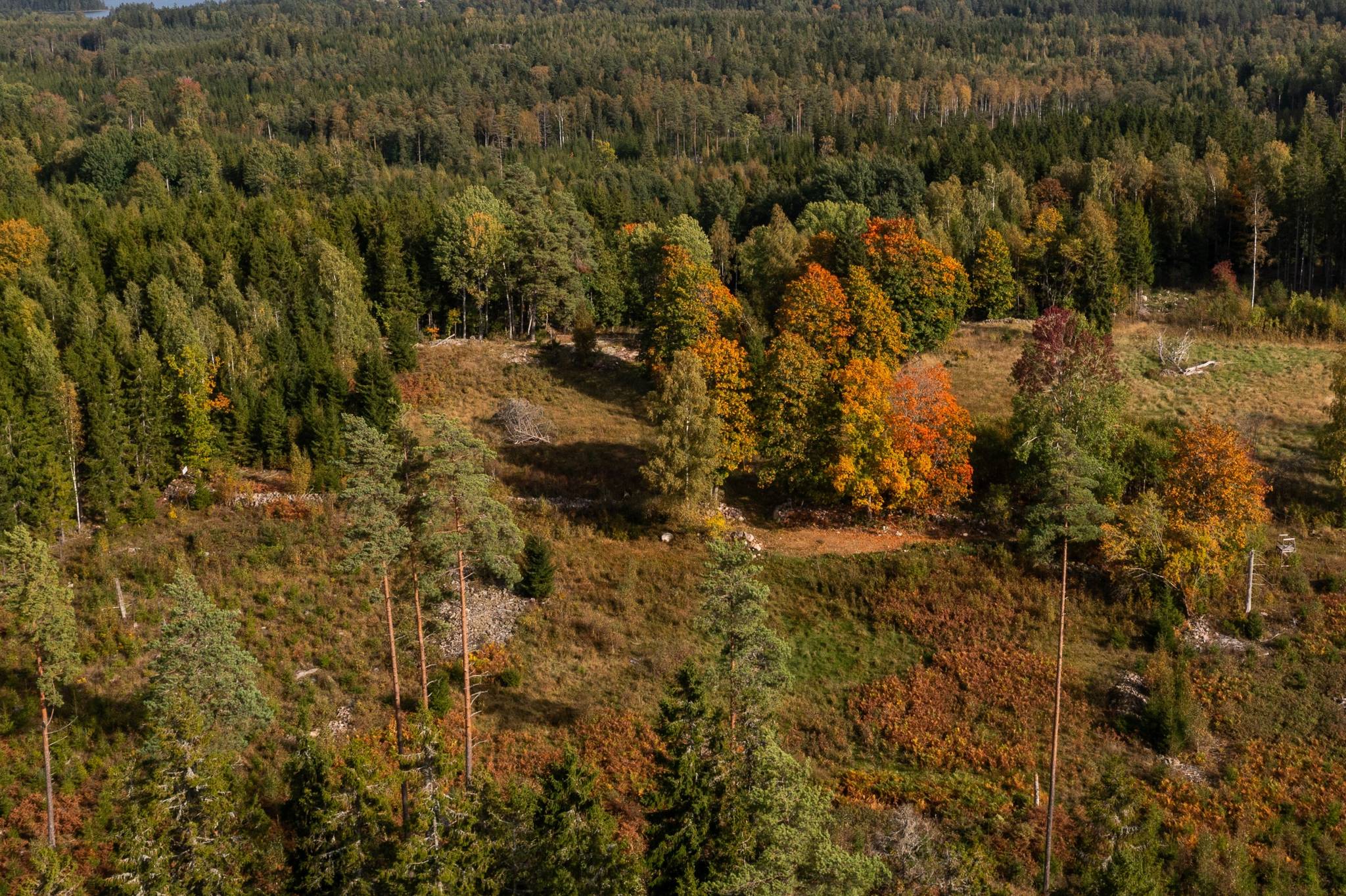Gård/skog på Del av Hornaryd Hörnegård 2 Braås Växjö kommun - bild 3