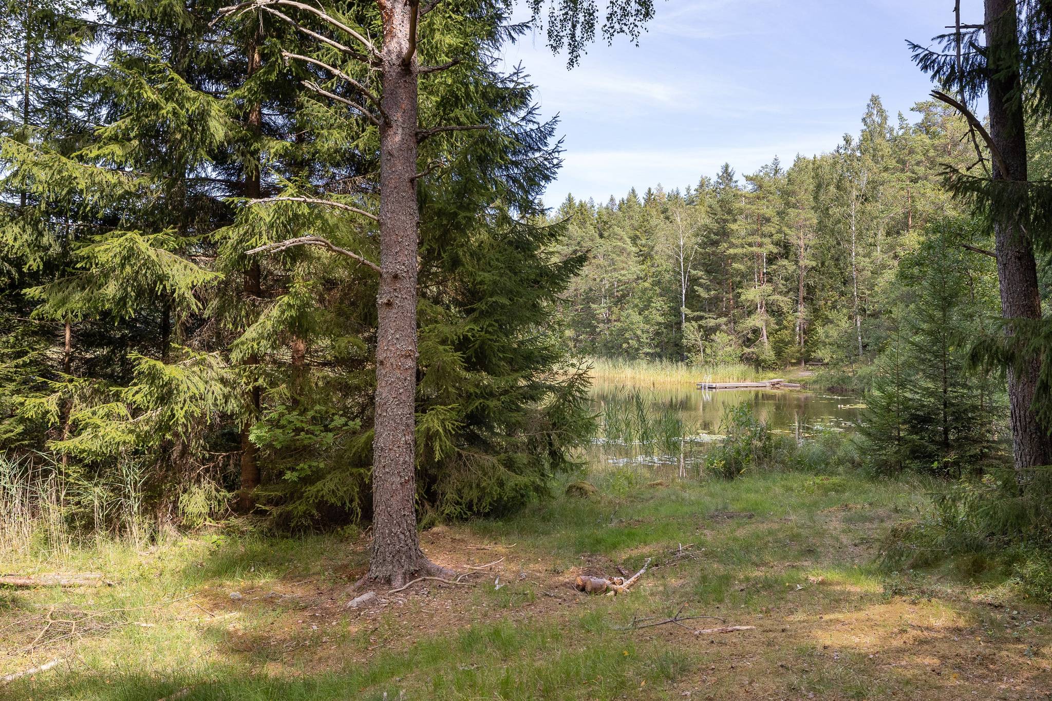 Gård med skogsbruk på Isåsen Askersunds kommun - bild 2
